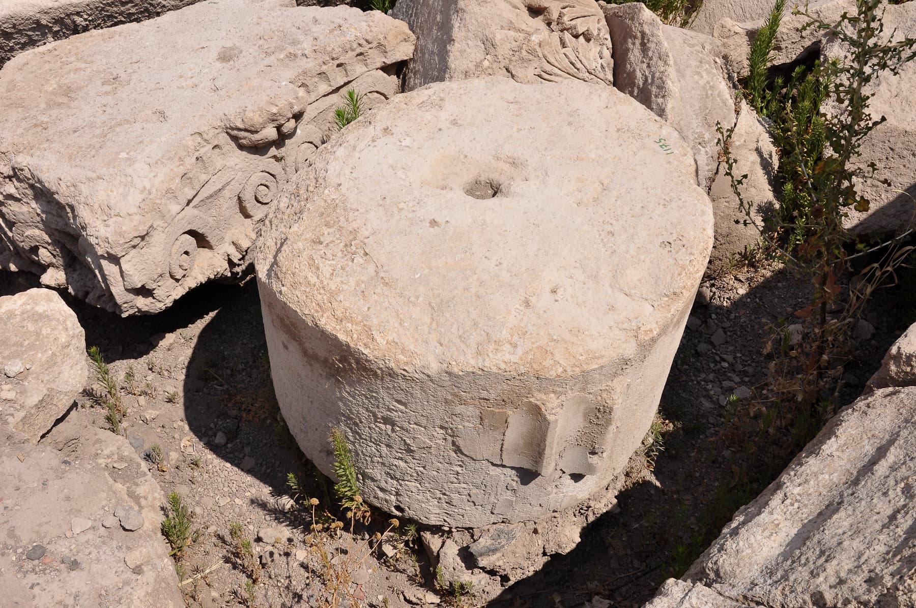 Column Drum