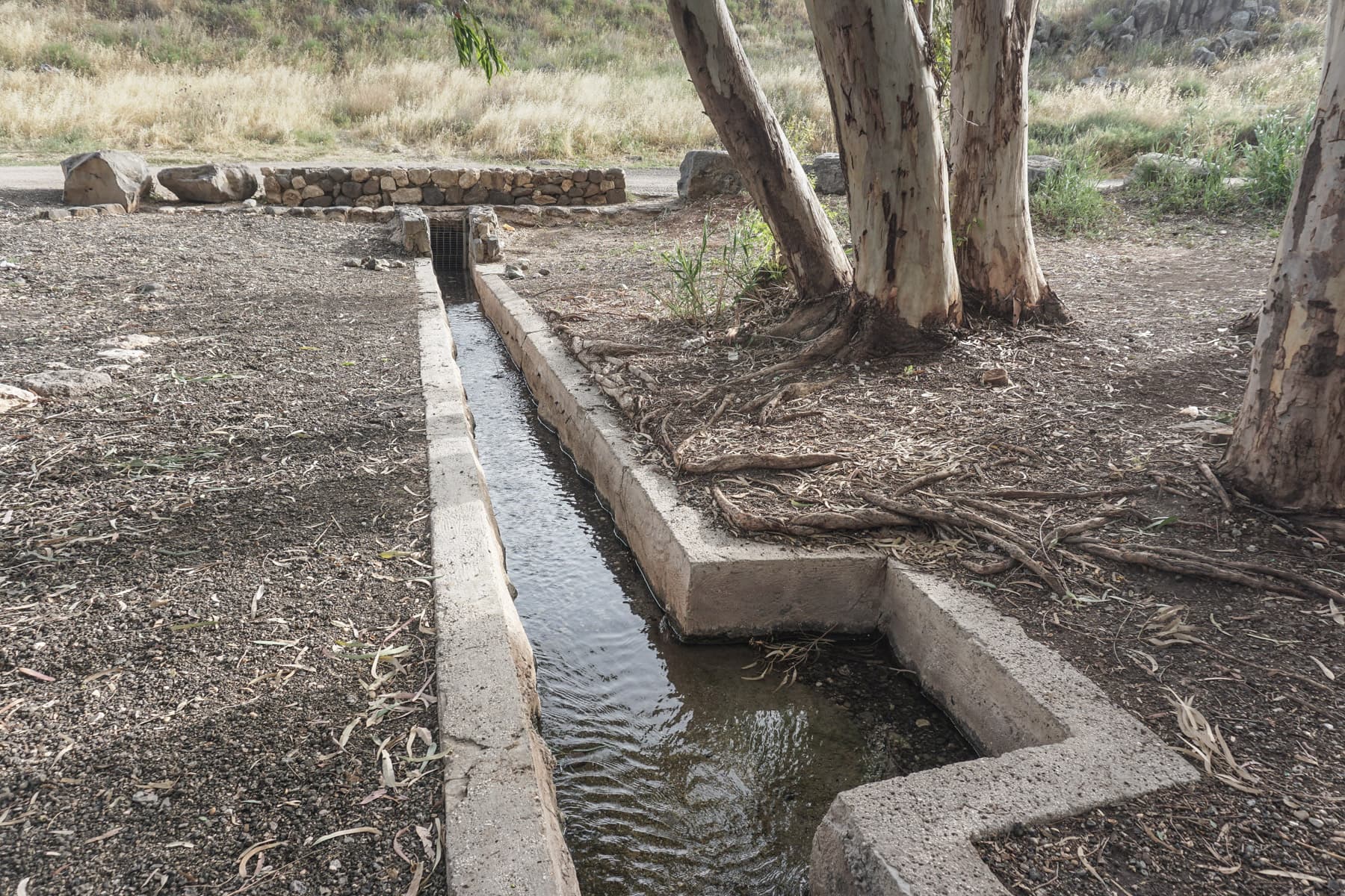 Spring Channel