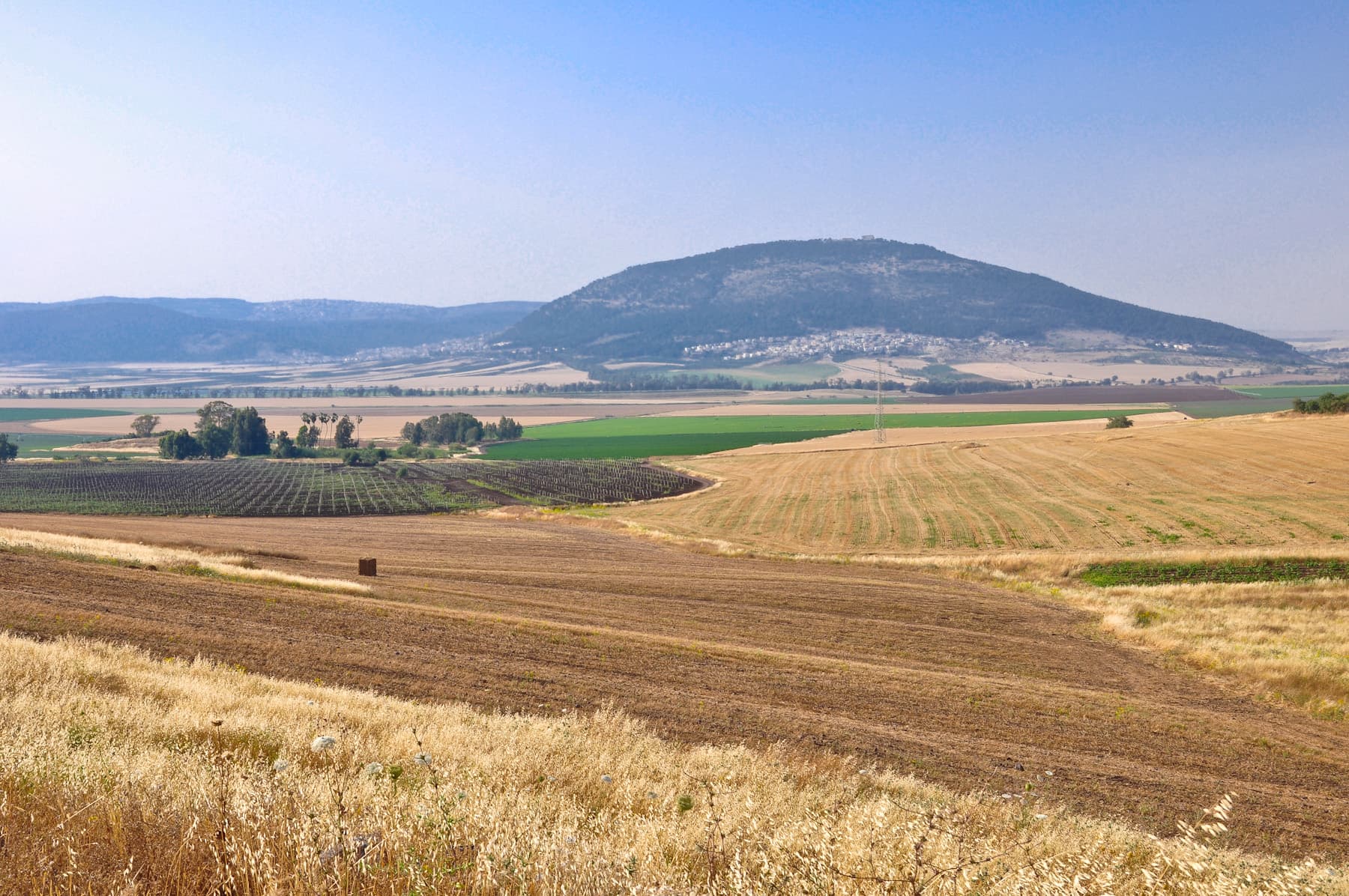 Mount Tabor