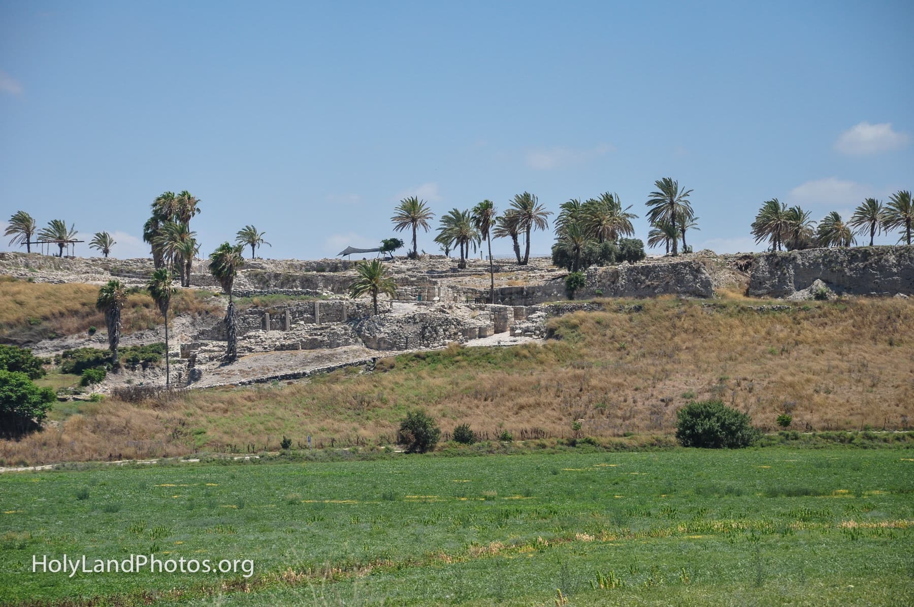 Megiddo The Mound