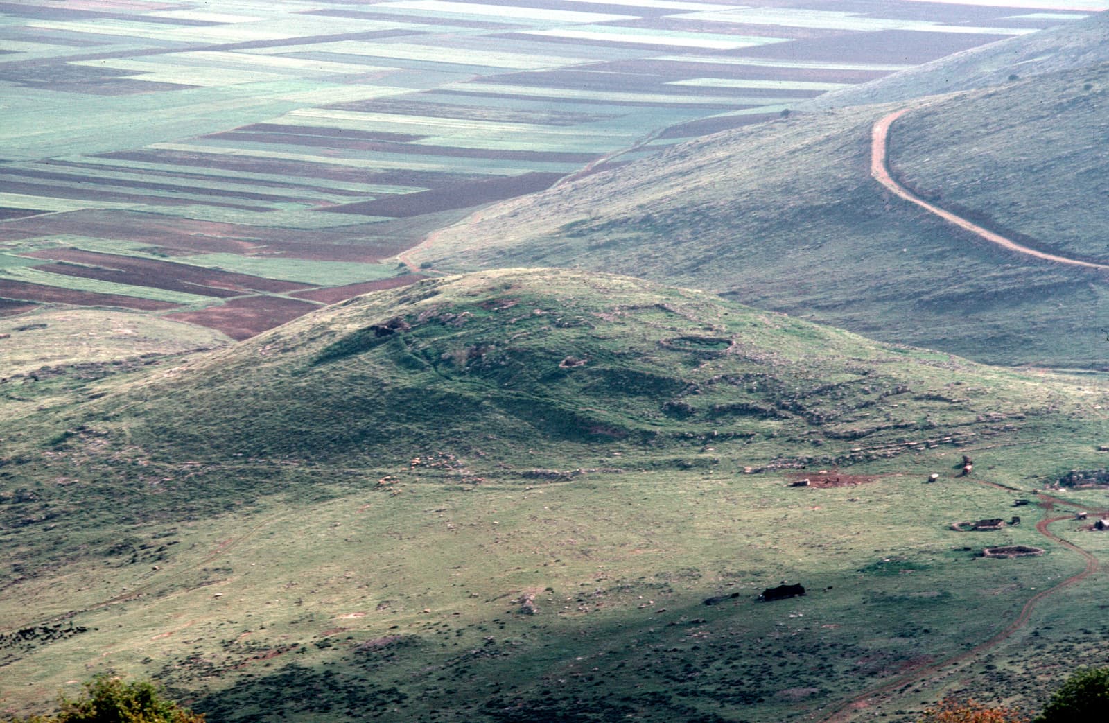Cana (1)