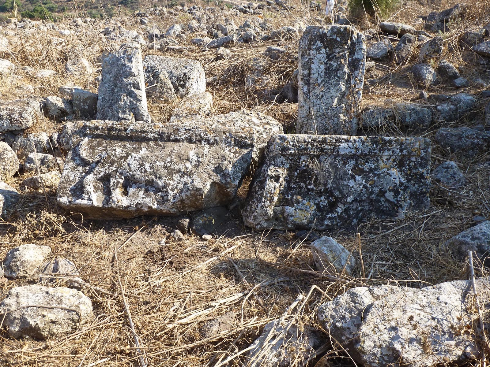 Lion Lintel