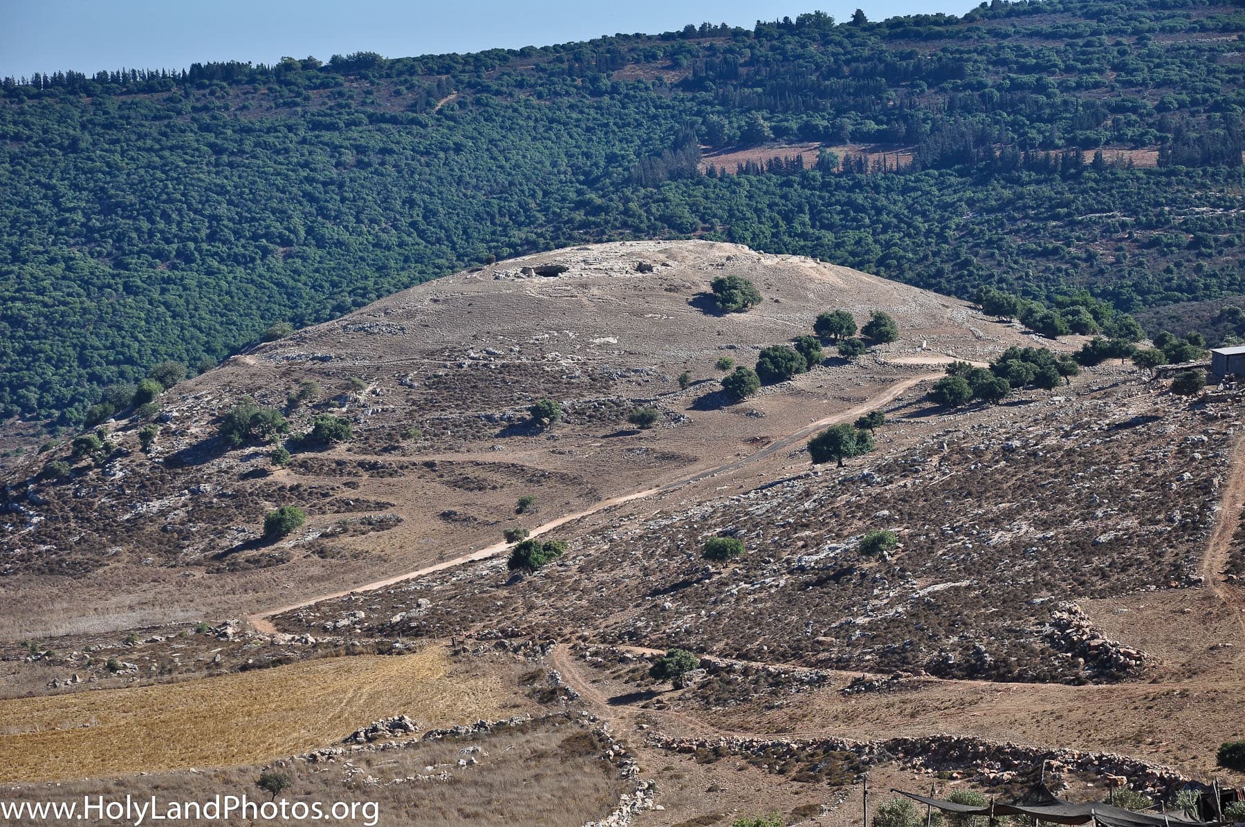 Site