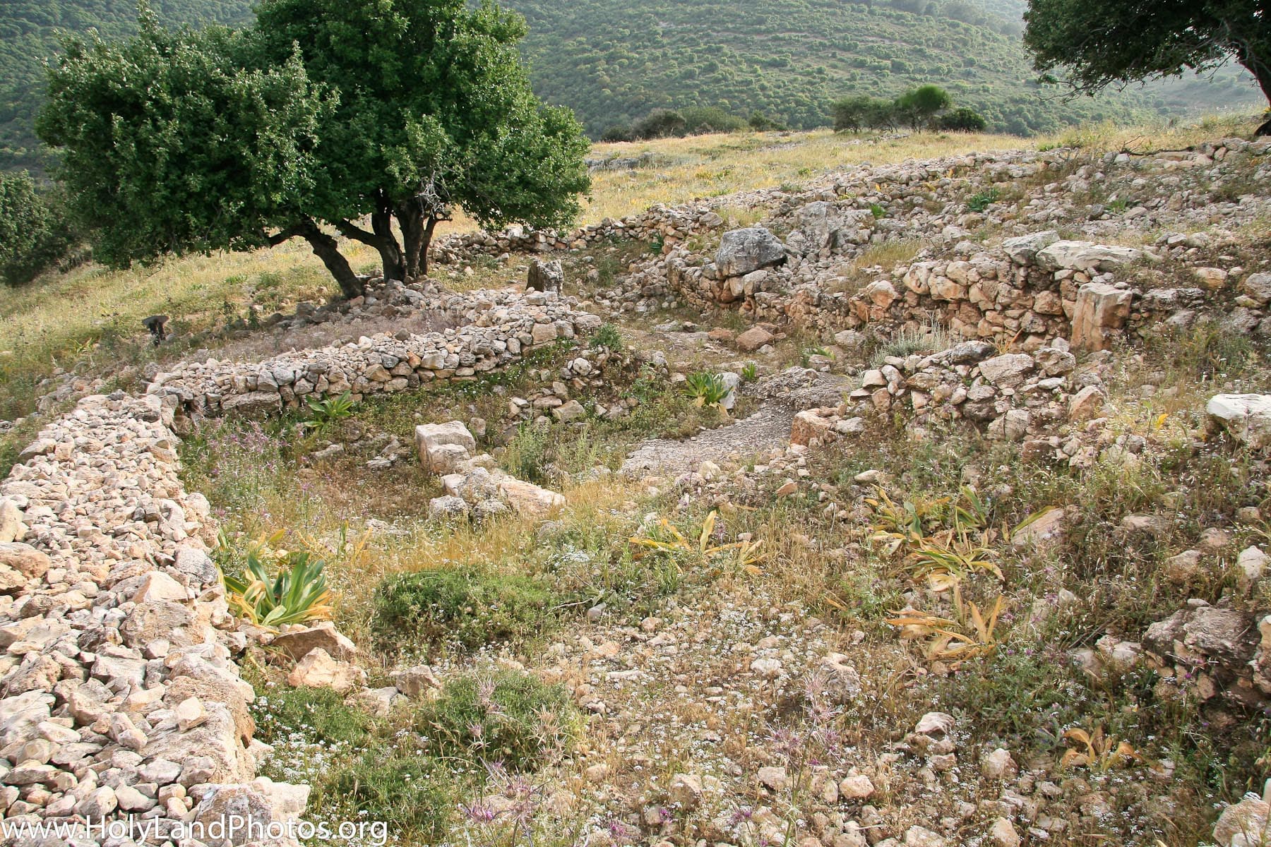 Lower City Excavations