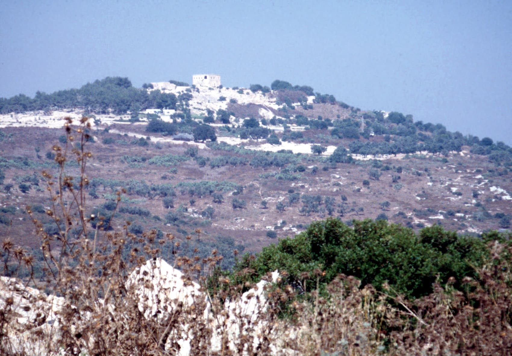 Citadel