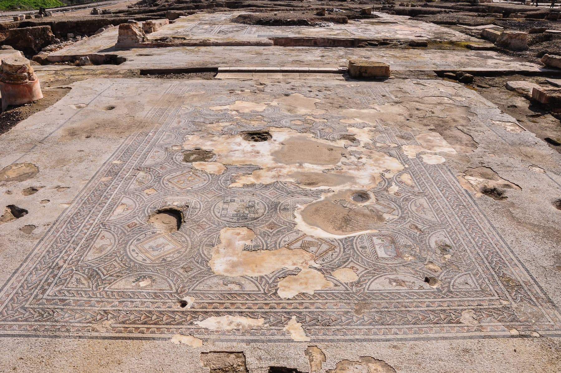 Building Mosaic