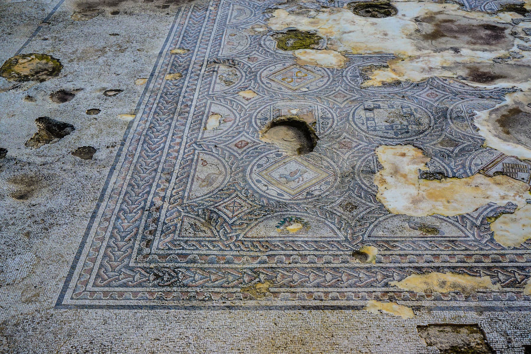 Building Mosaic 3