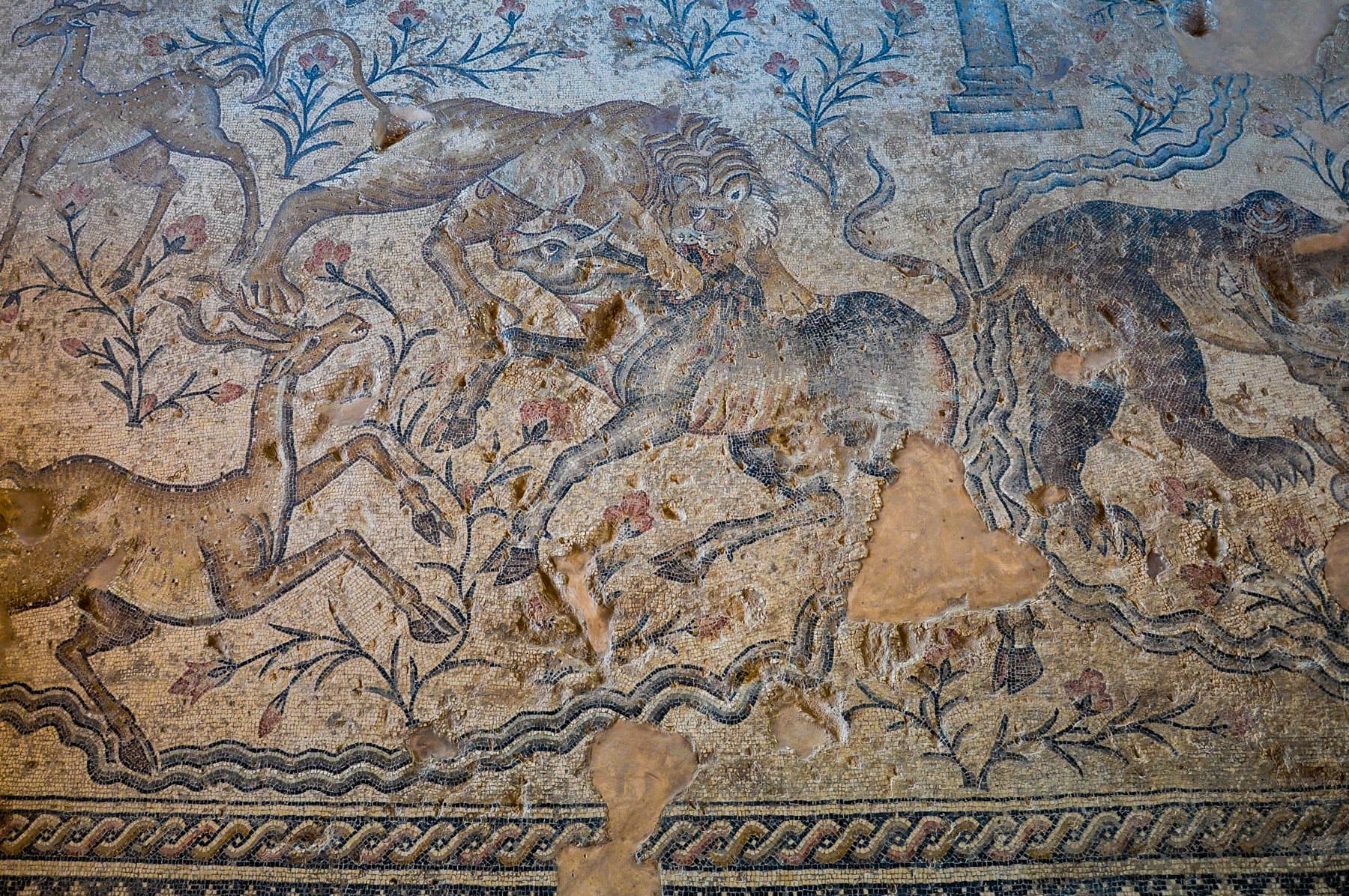 Lion Attacking a Bull