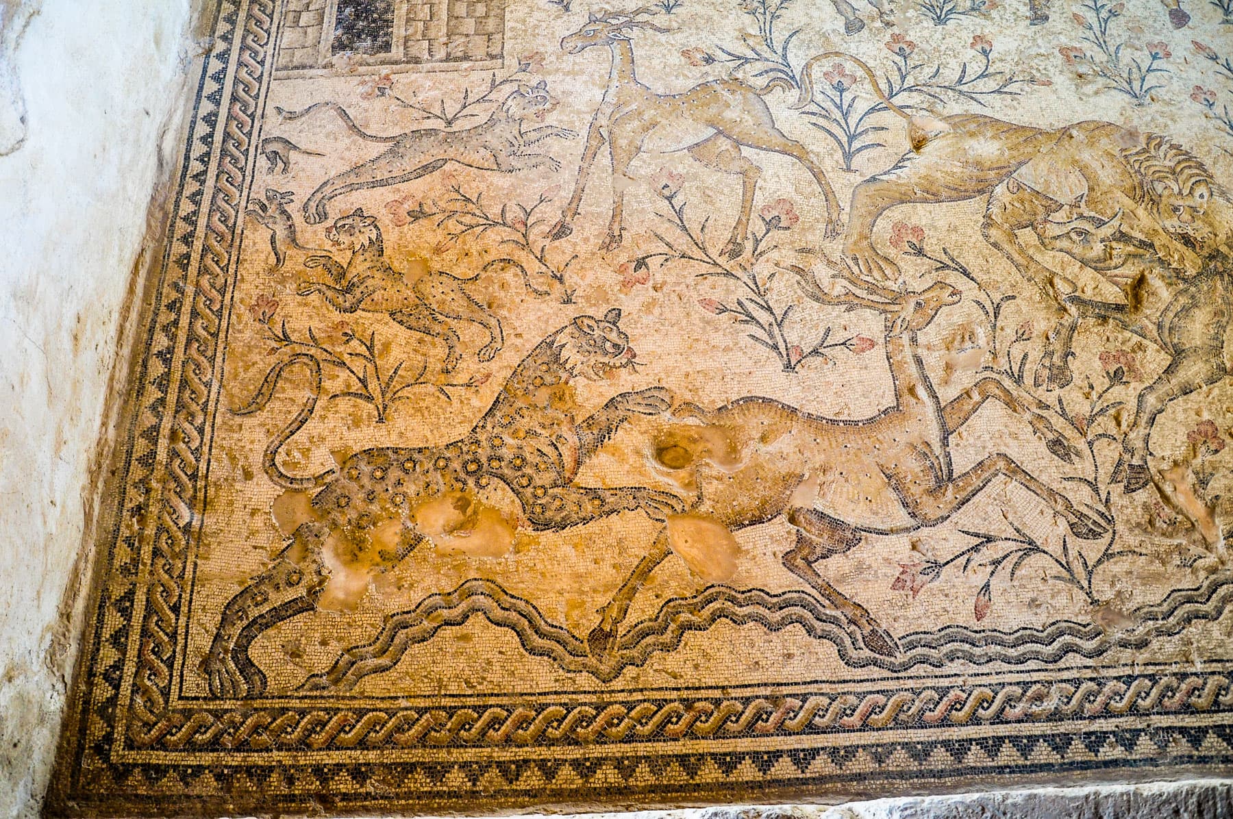 Panther Attacking a Deer