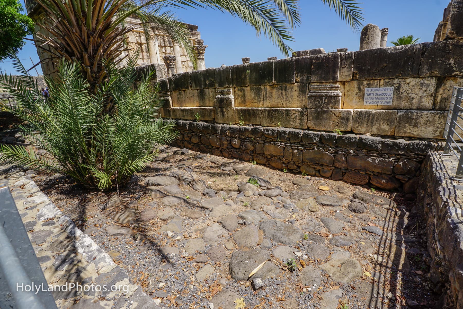 Capernaum Synagogue Foundation