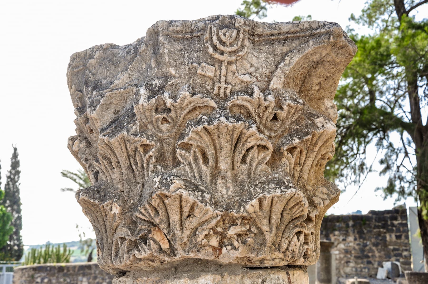 Menorah Capital