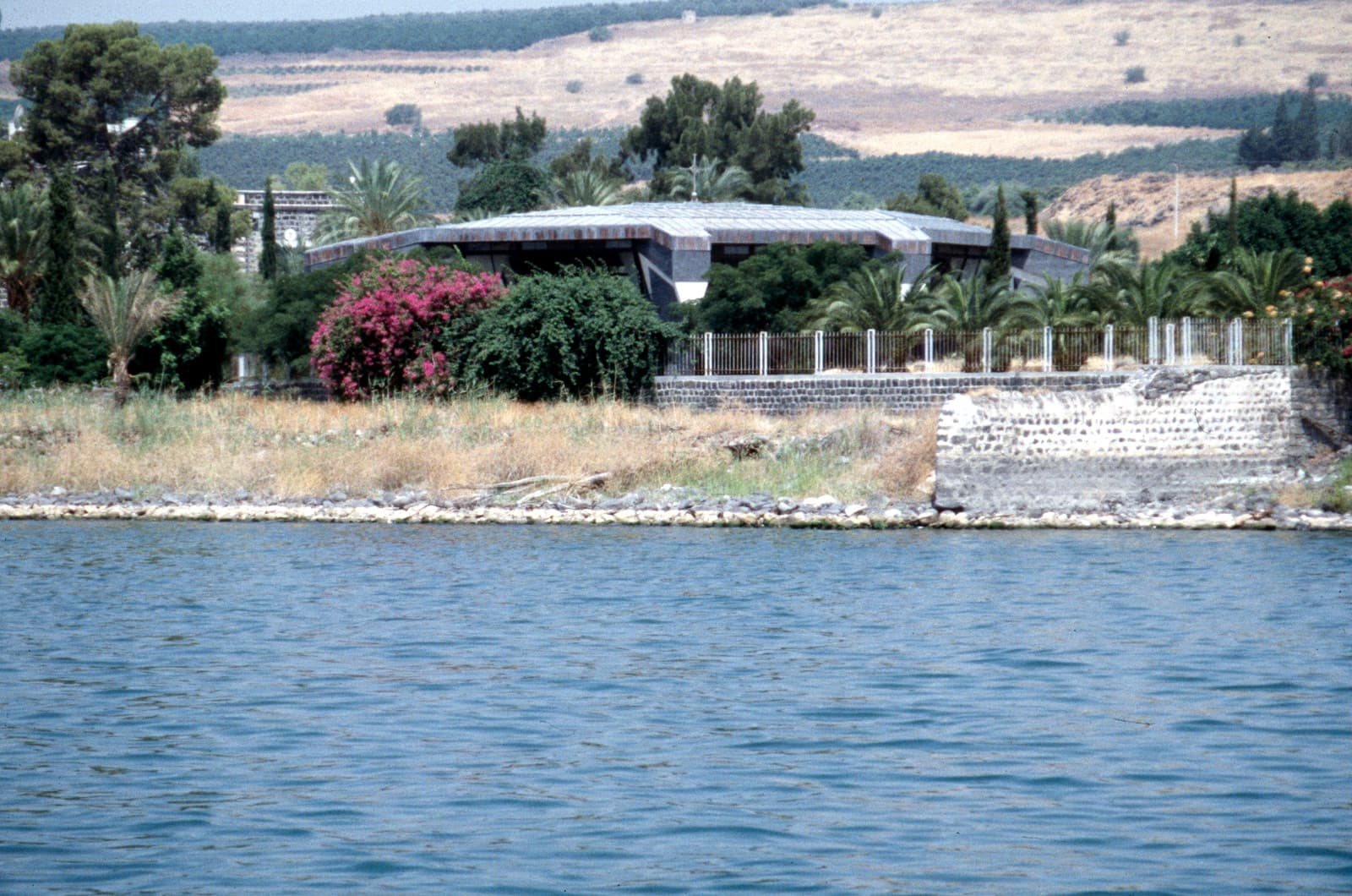 View of Harbor and Site