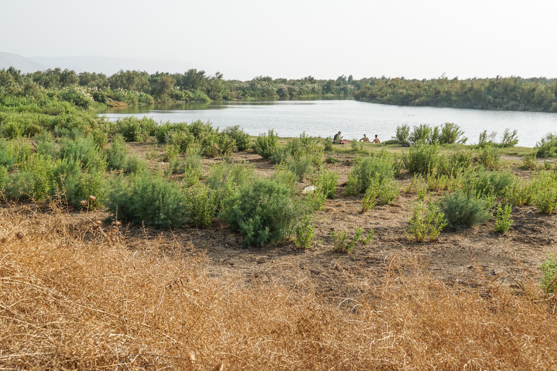 Jordan River - Lagoon at el-Araj