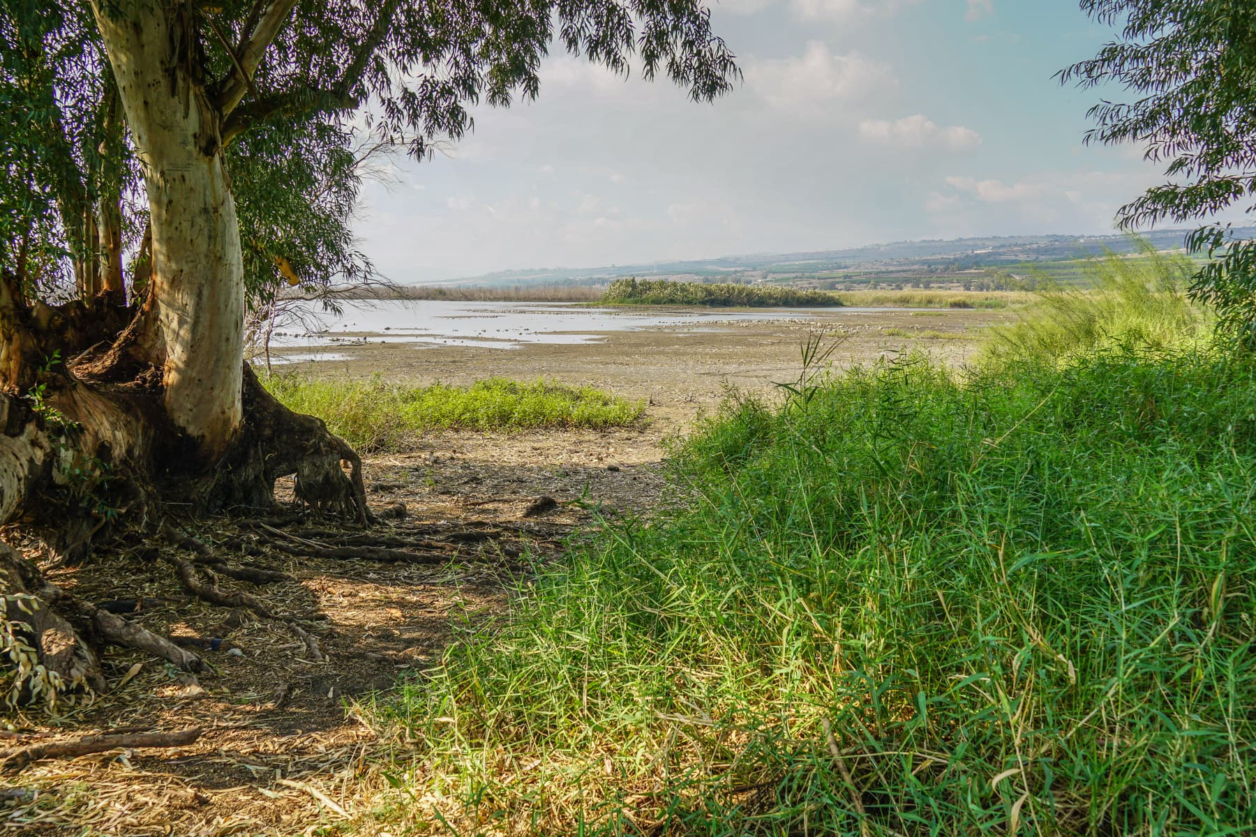 Estuary