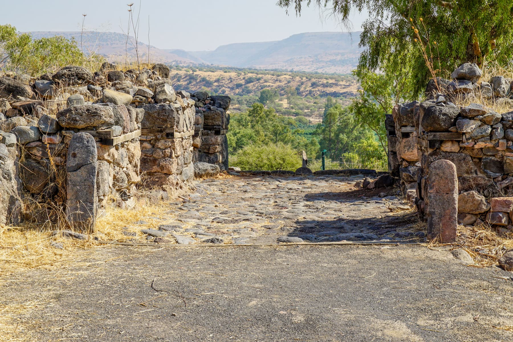 Four-Chamber Gate