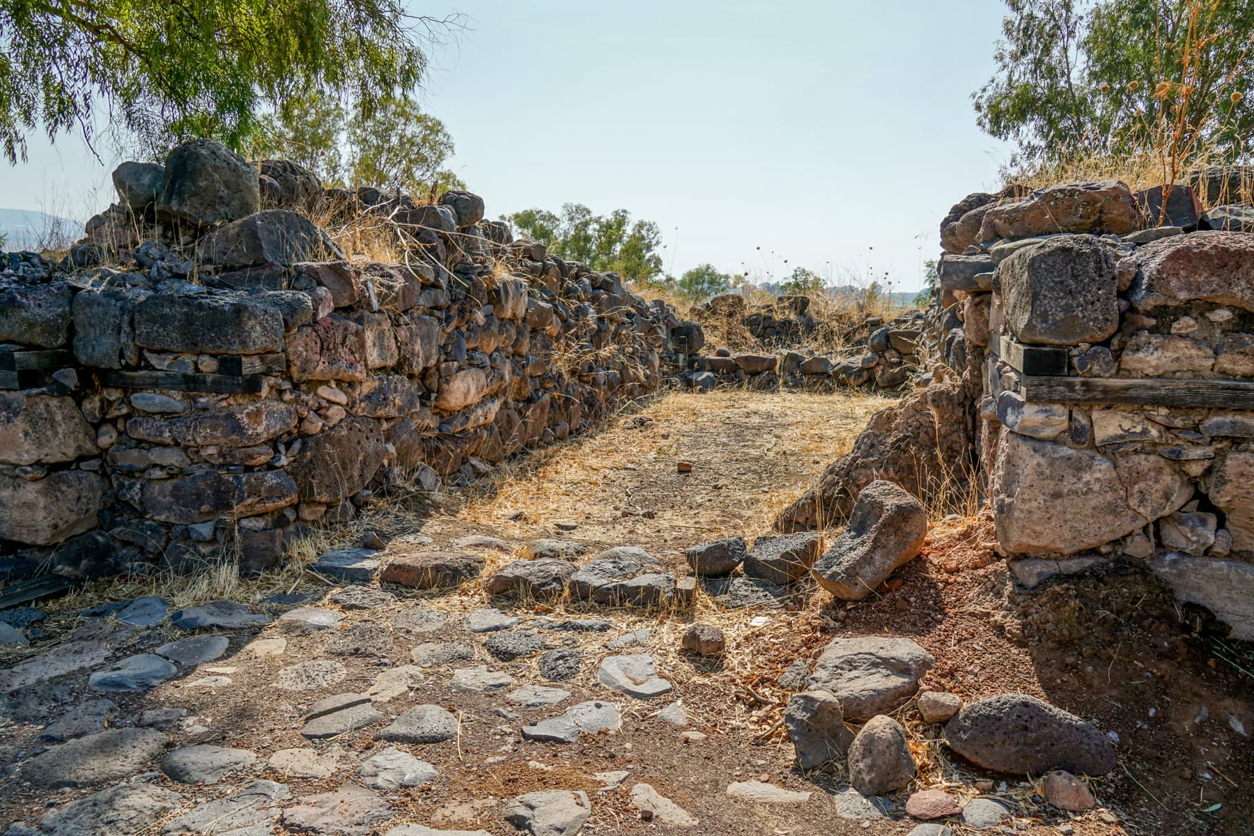Gate Chamber