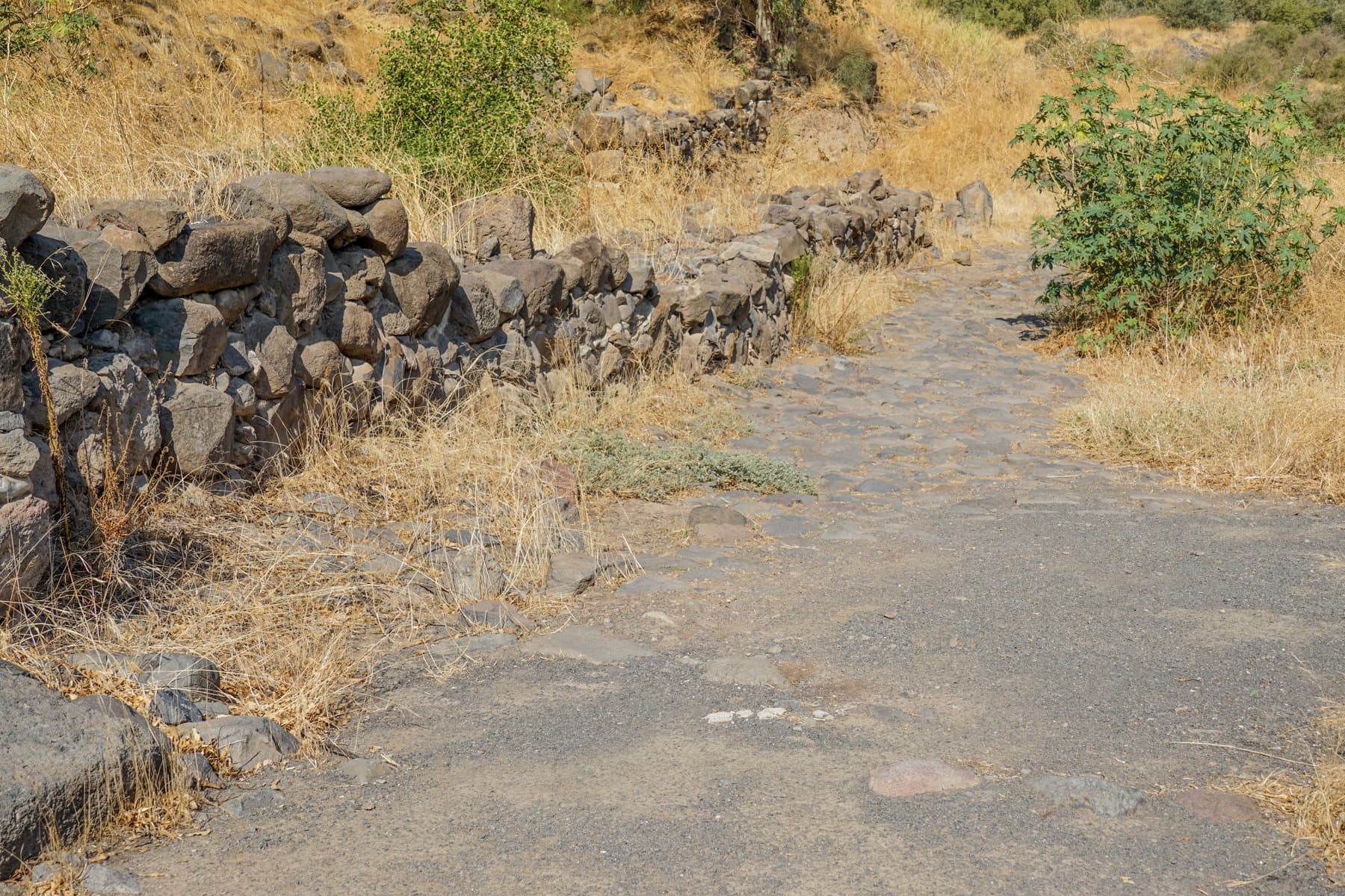 Entrance Road