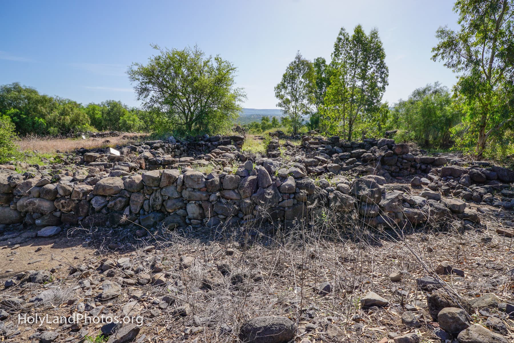 Iron Age Palace