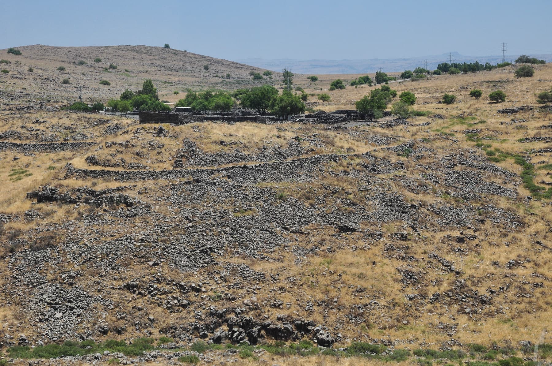 The Site