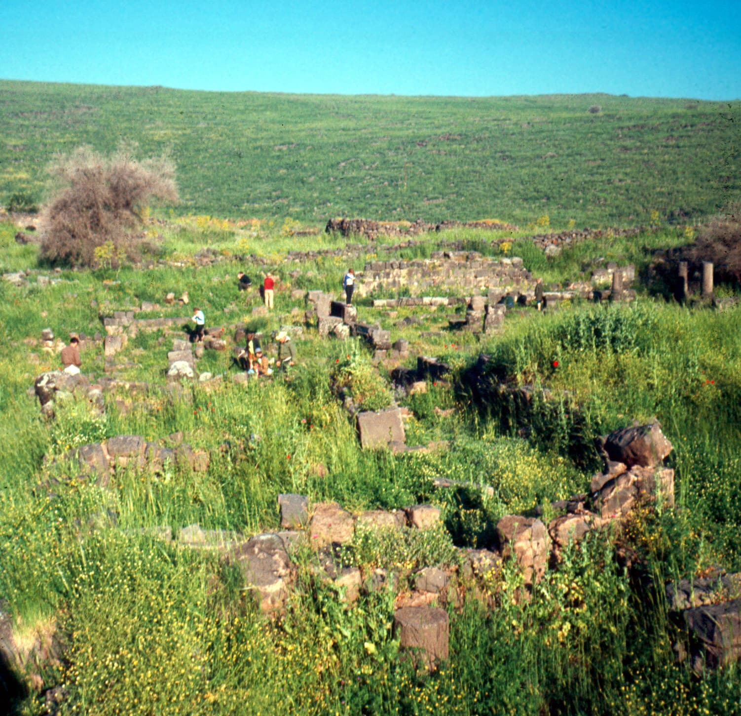 Korazin Spring 1967