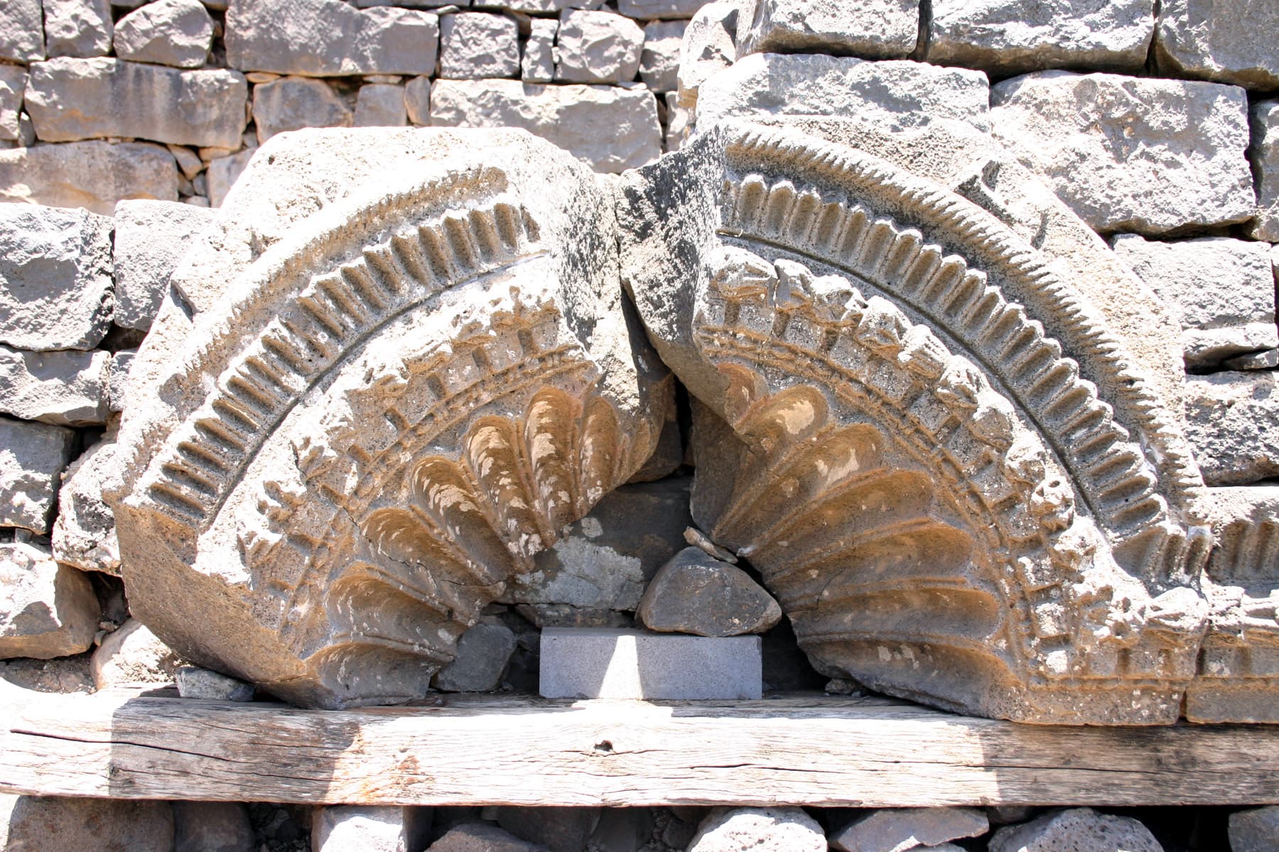 Shell Design