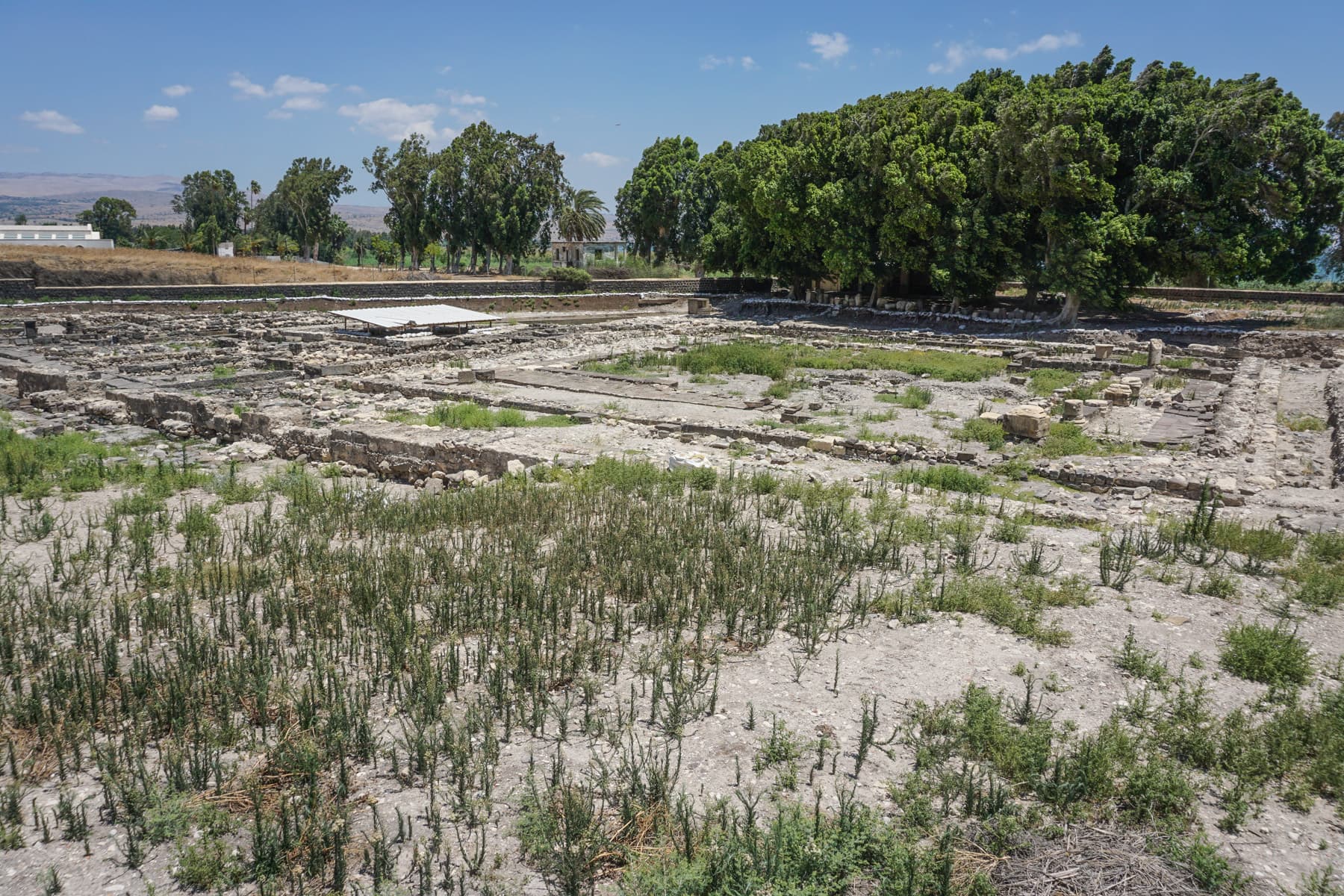 Franciscan Excavations