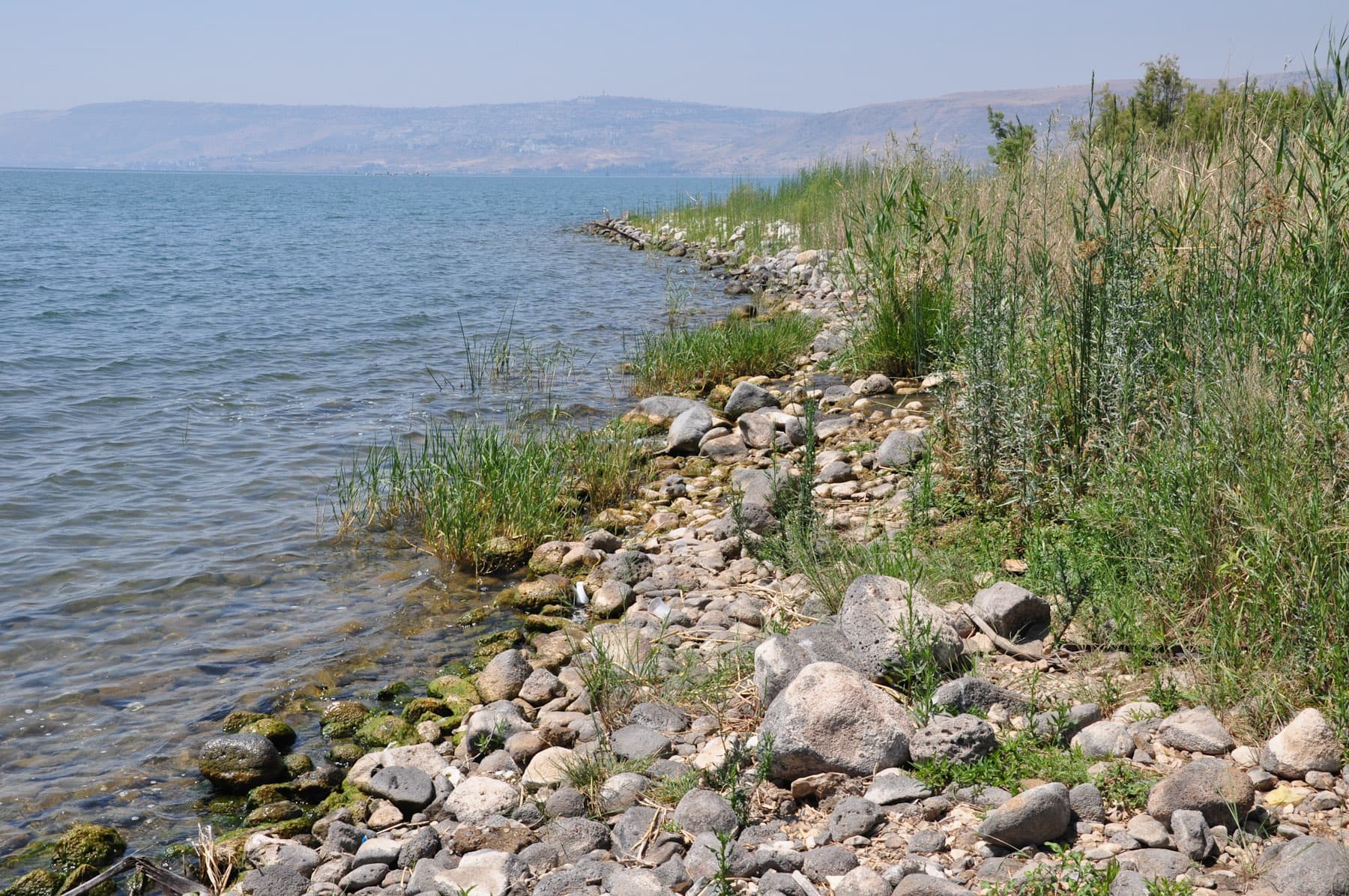 The Lake