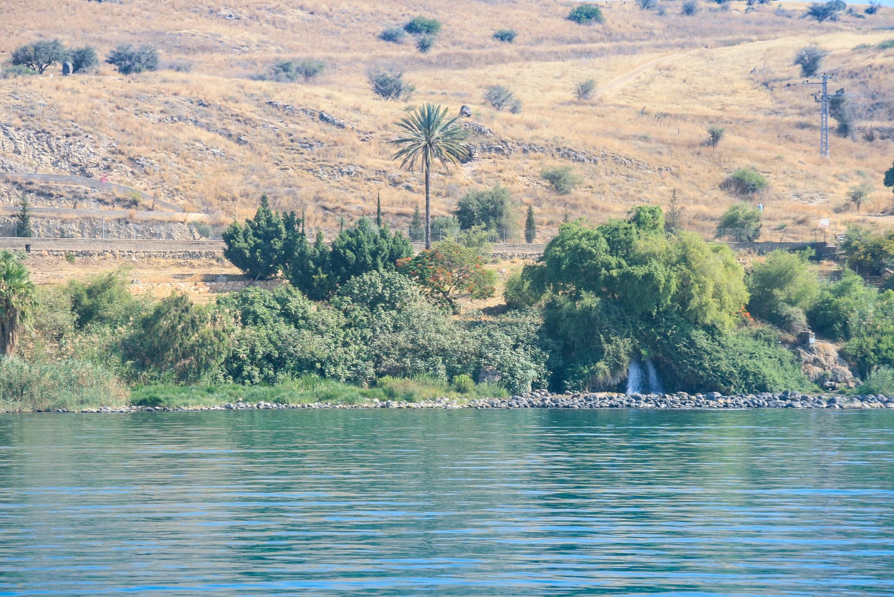 Tabgha Spring