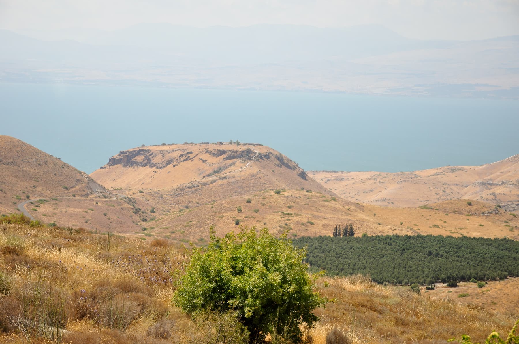 Sussita from East