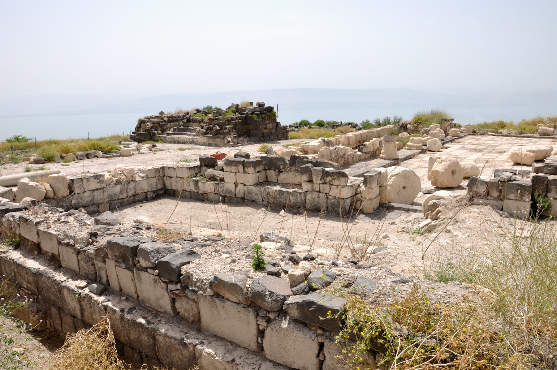 Kalybe & Forum