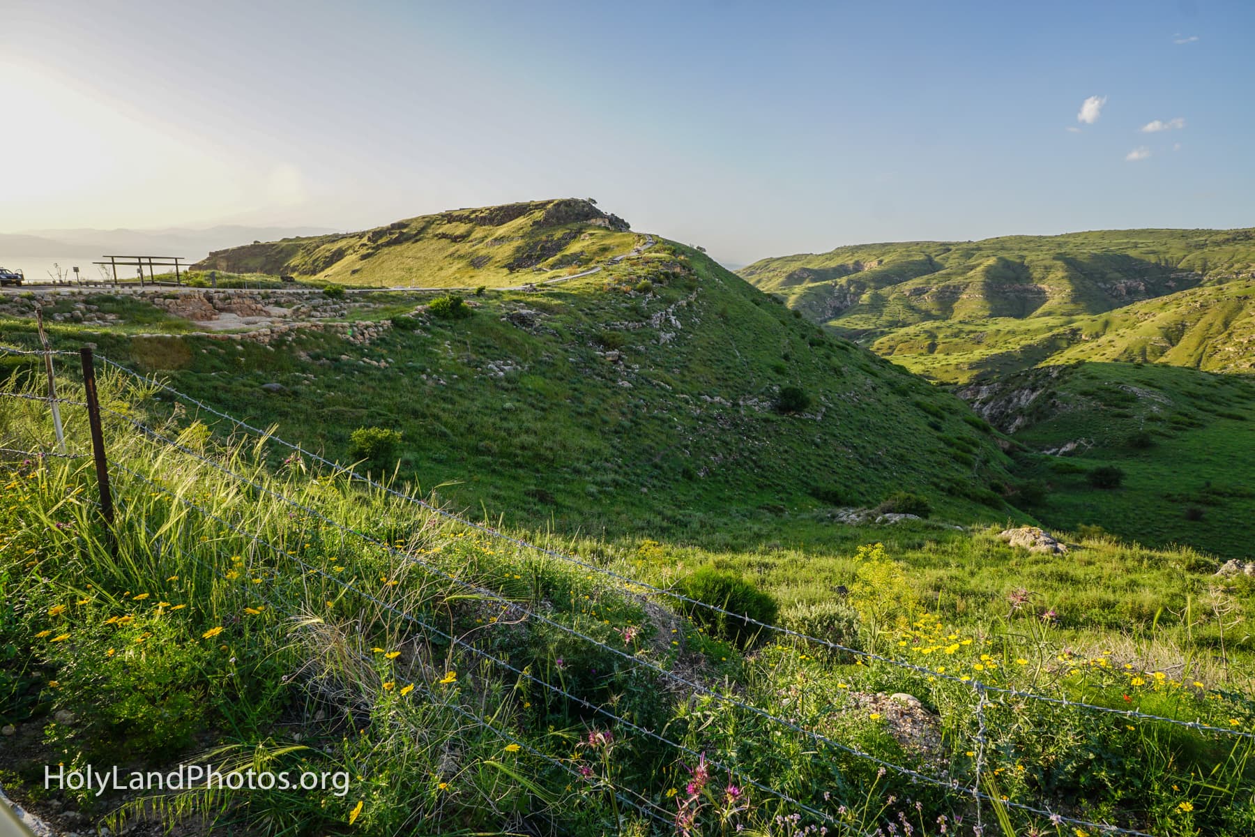 Hippos Ridge
