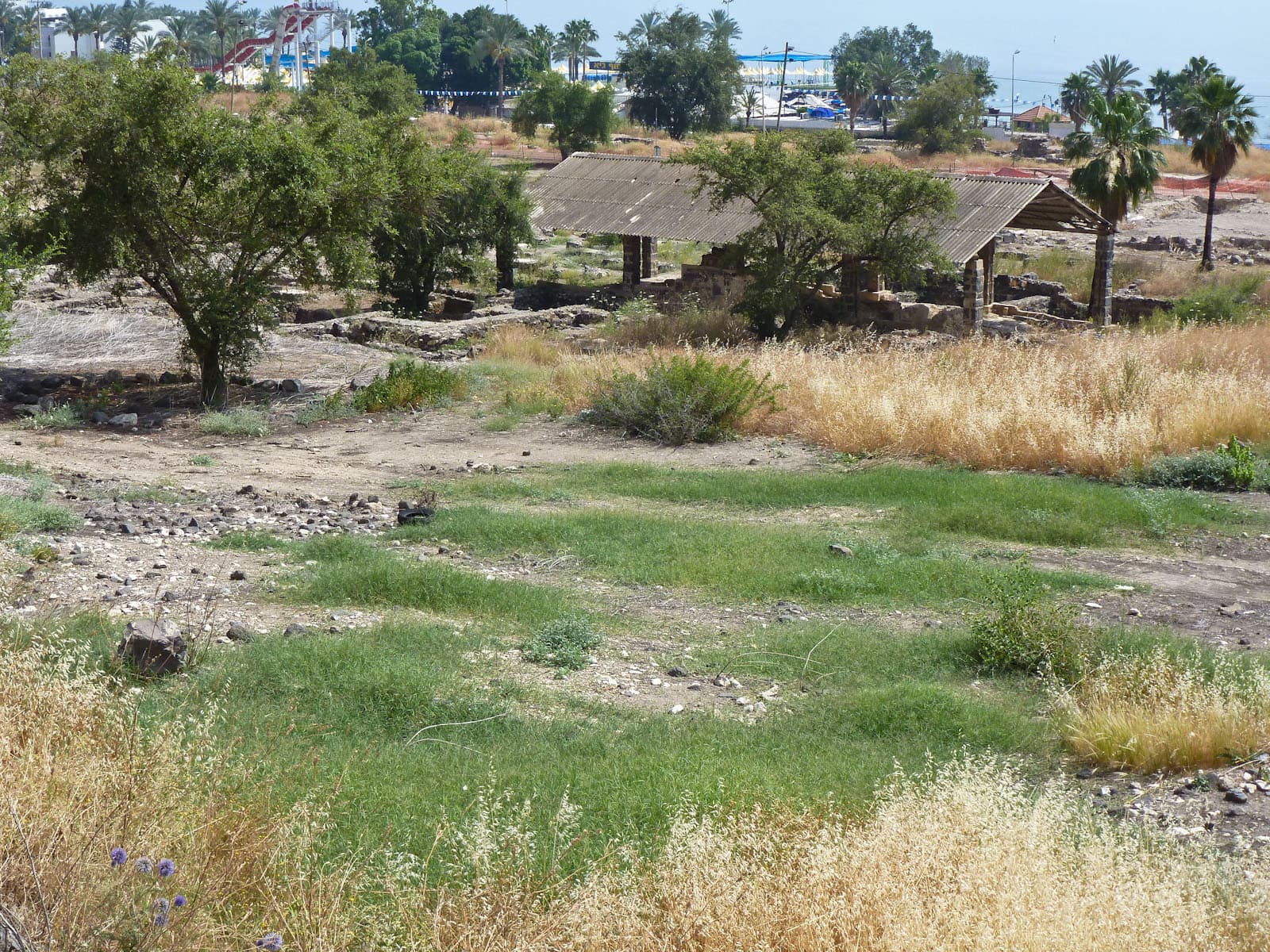 North Excavations