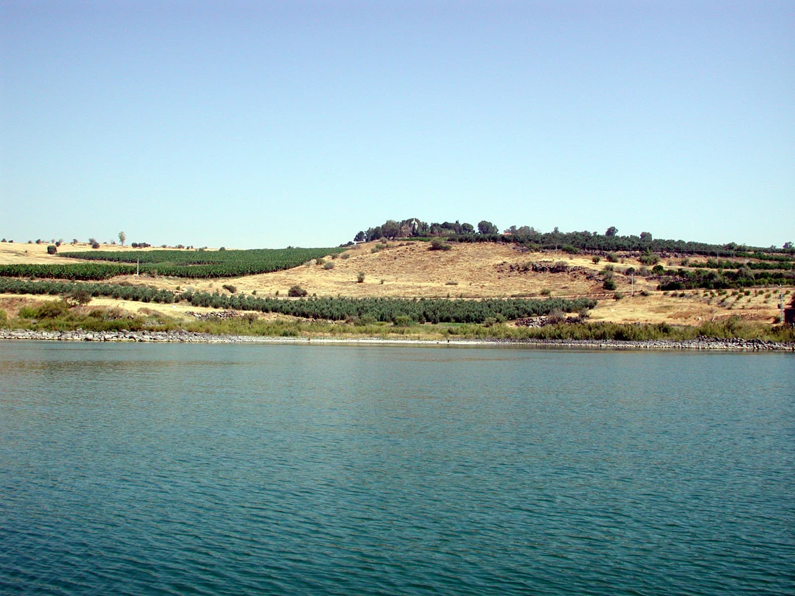 Sower’s Cove 4
