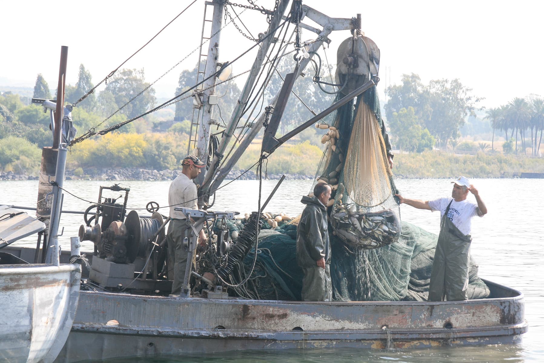 Hauling in Fish