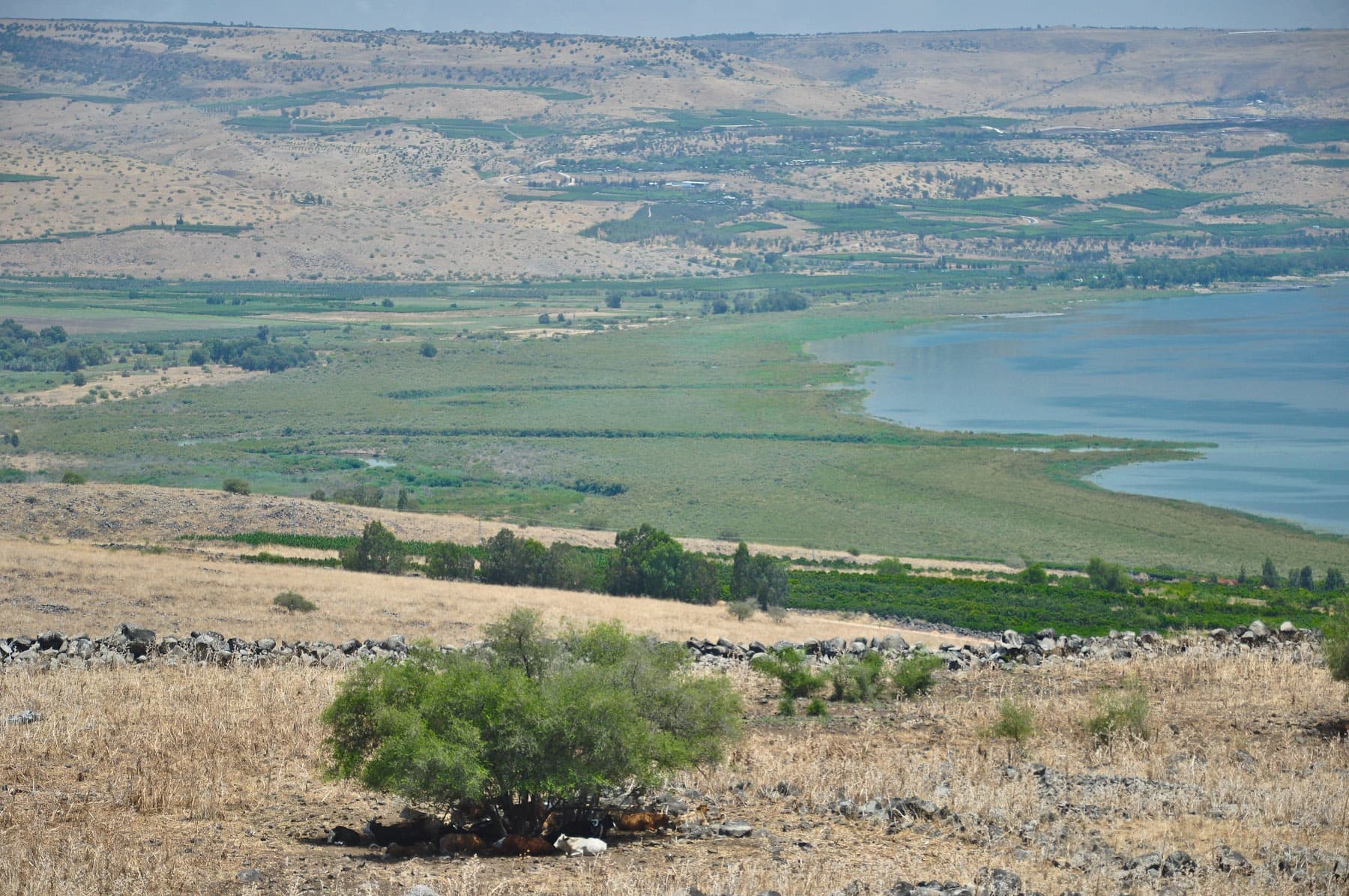 Jordan Entering Sea of Galilee