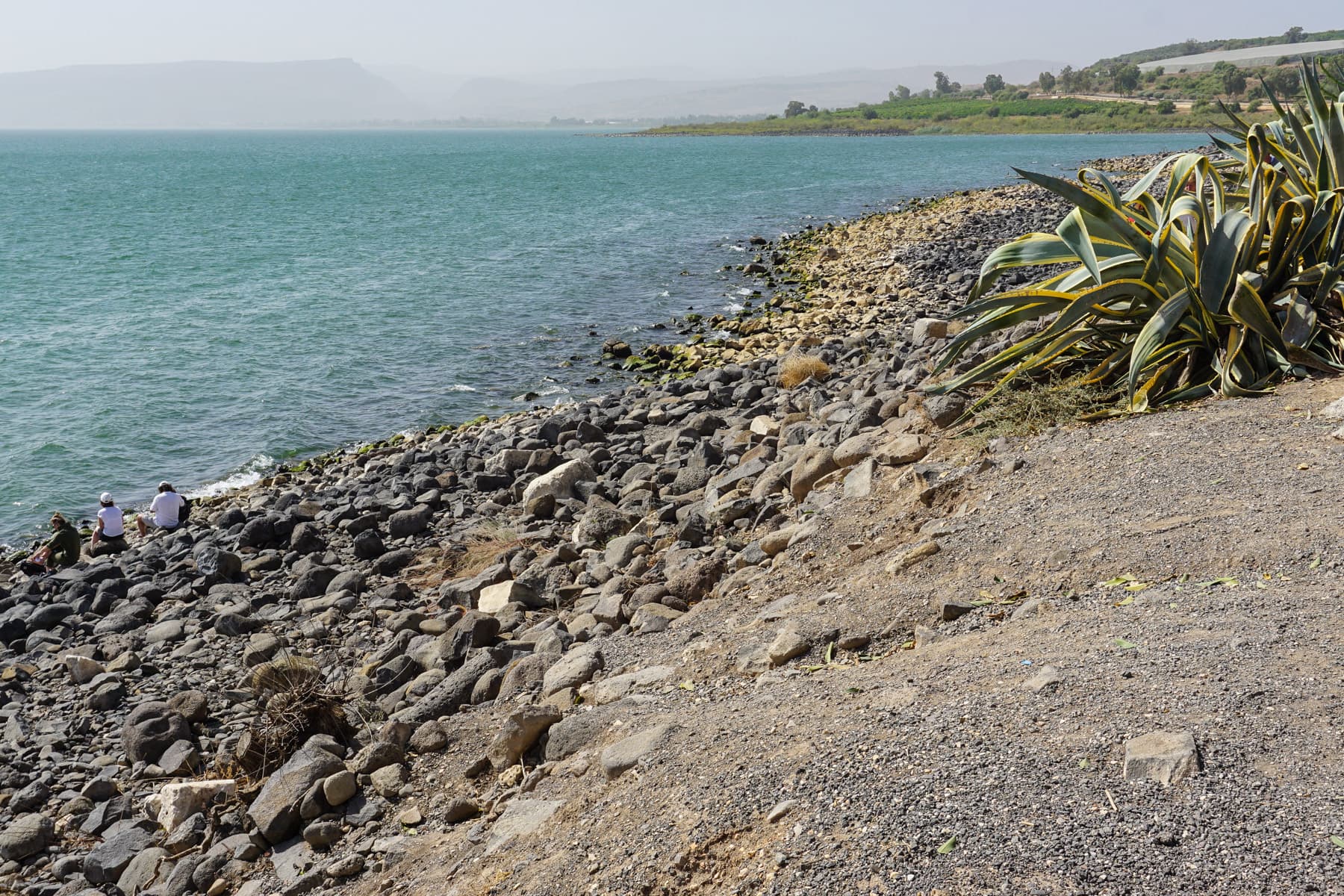 Shoreline at Capernaum