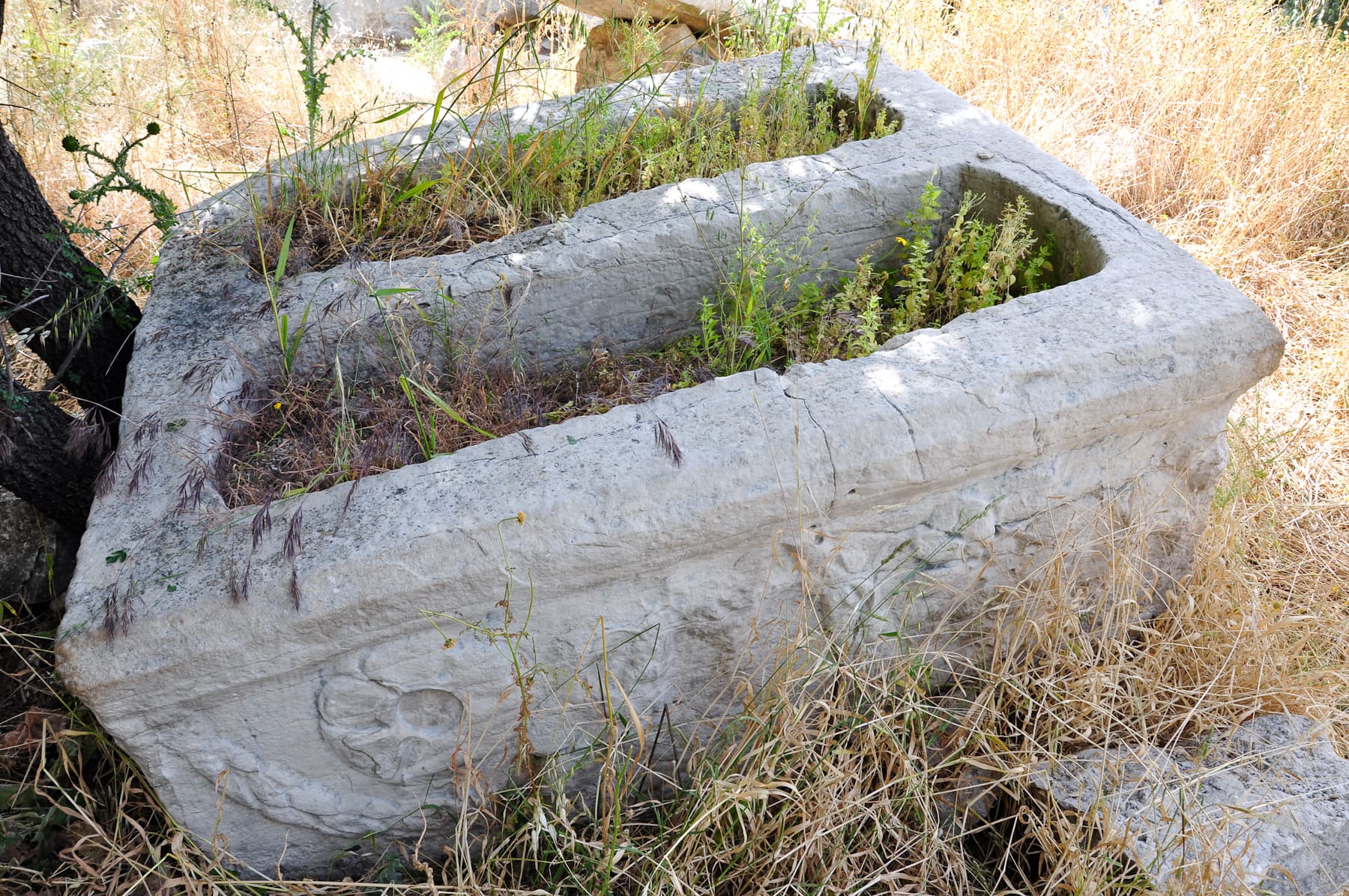 Double Sarcophagus