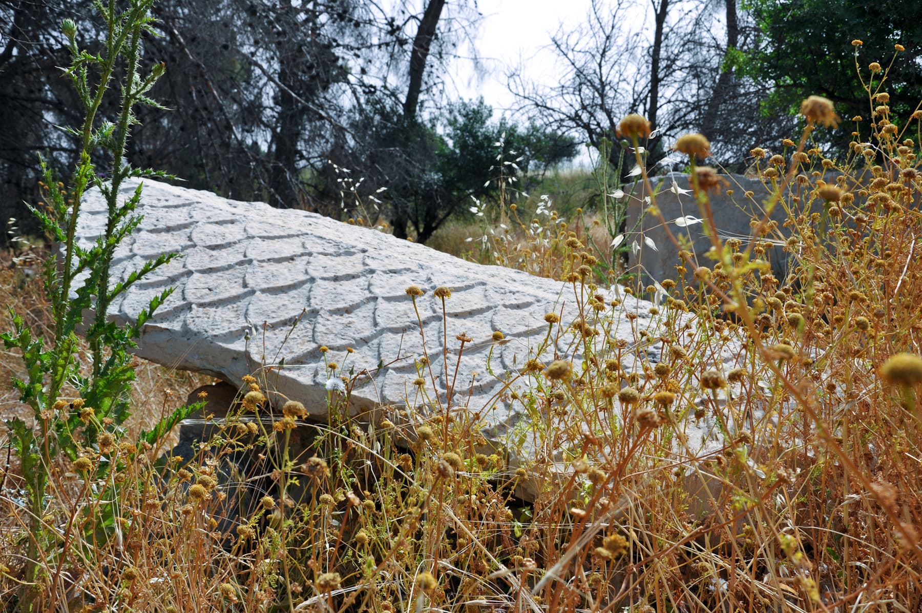 Sarcophagus Lid