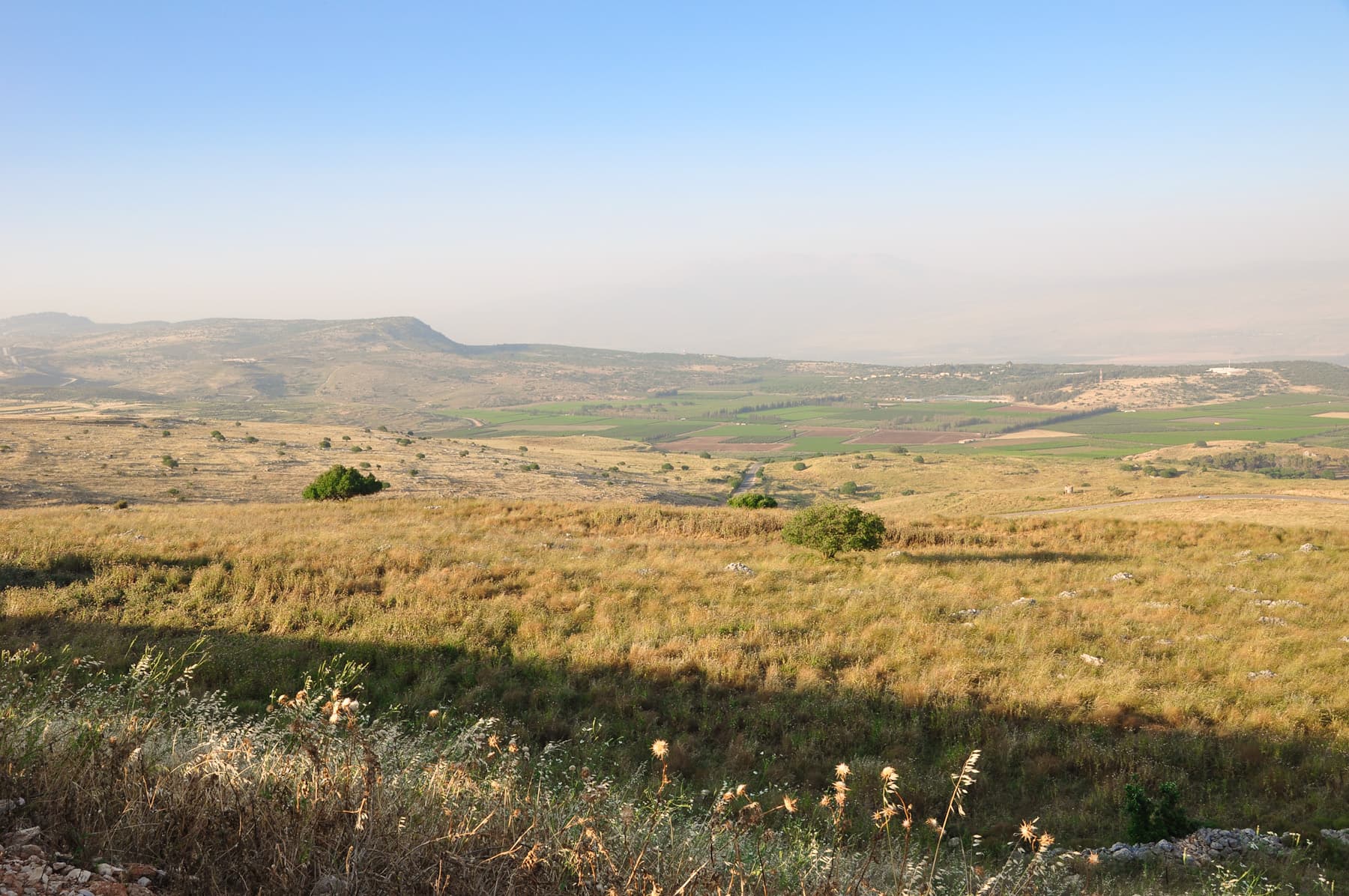 Plain of Kedesh 1