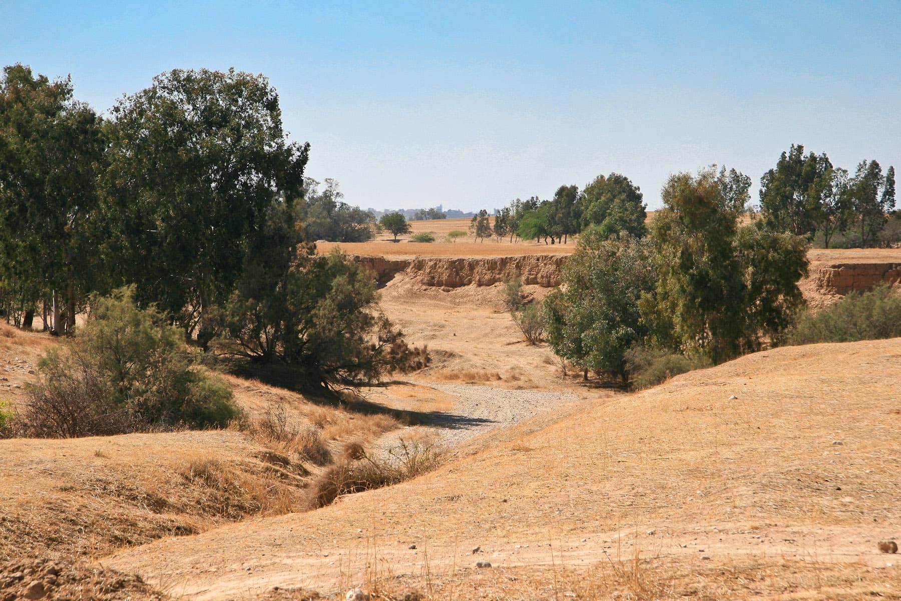 Nahal Besor