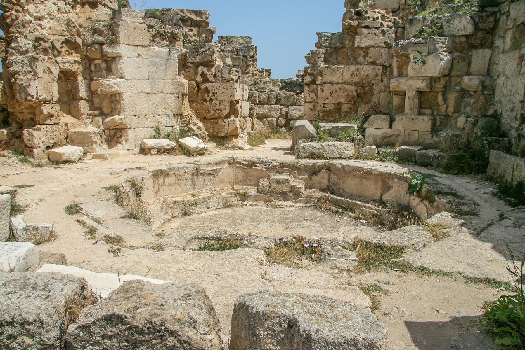 Octagonal Pool