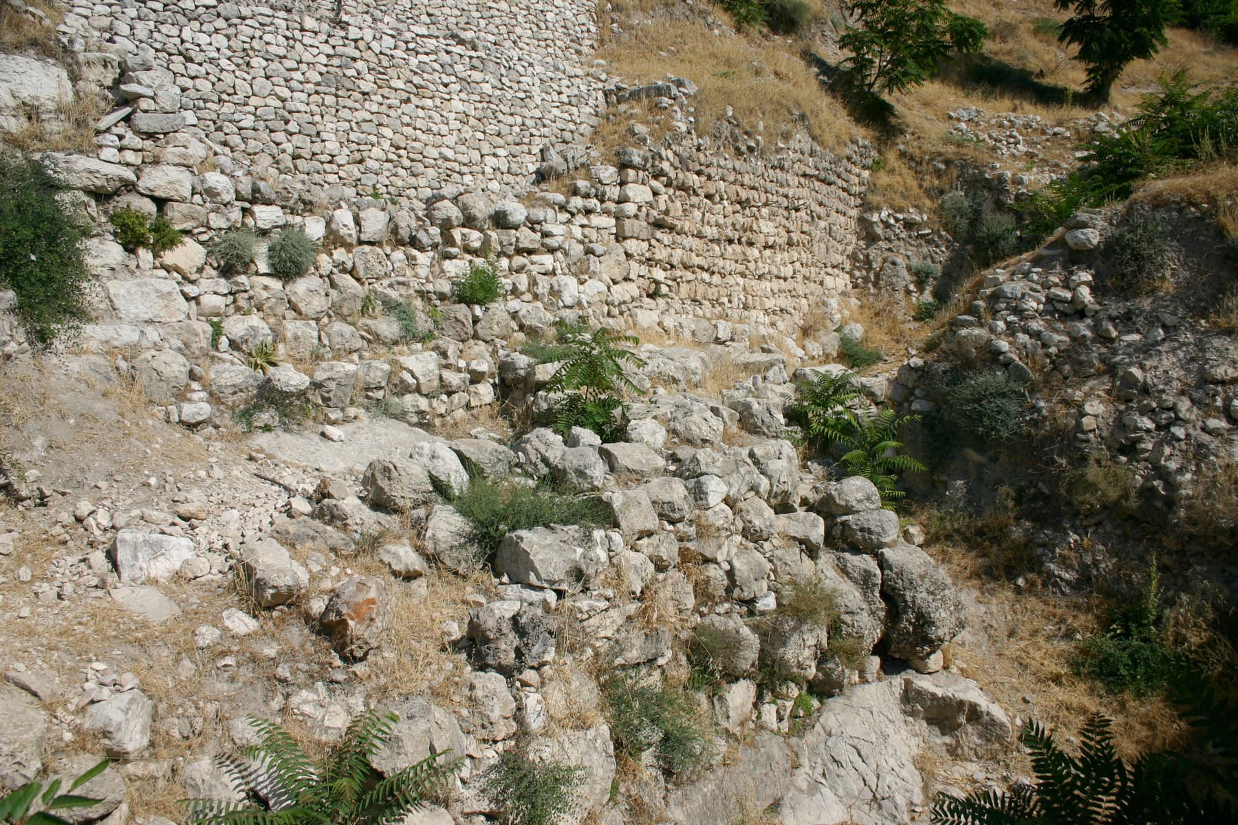 Ancient Wall 1