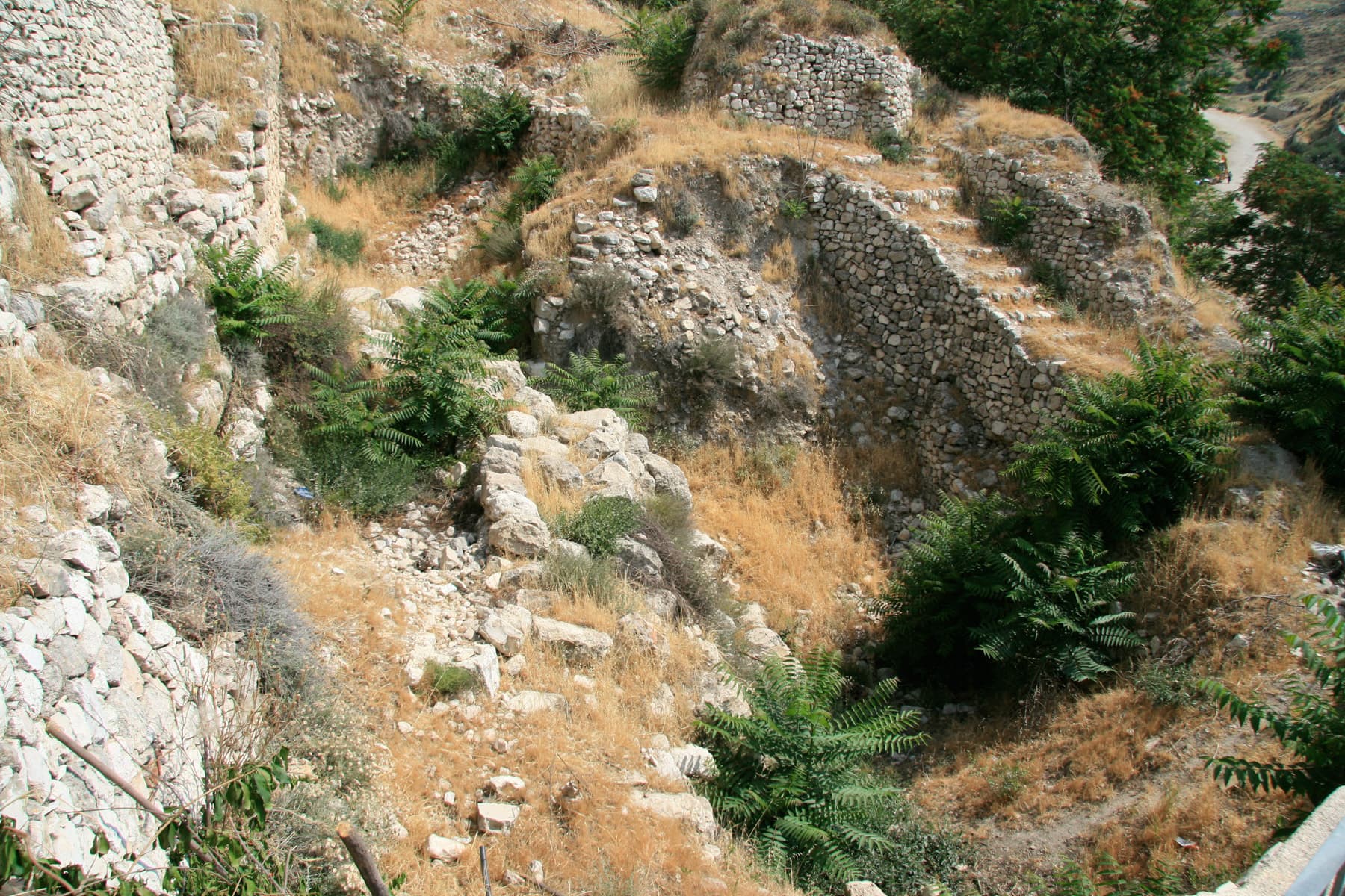 Ancient Wall 2