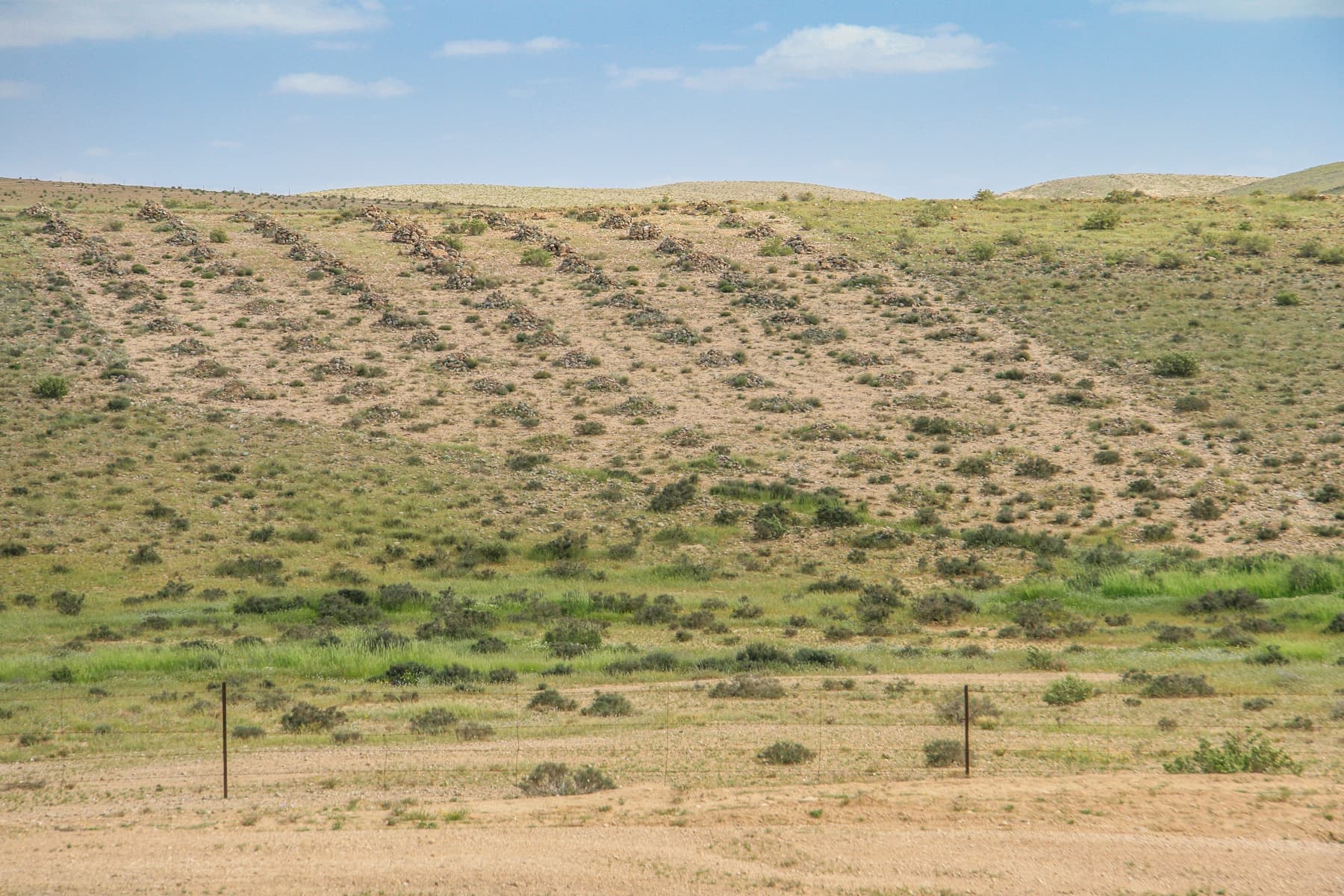 Experimental Field