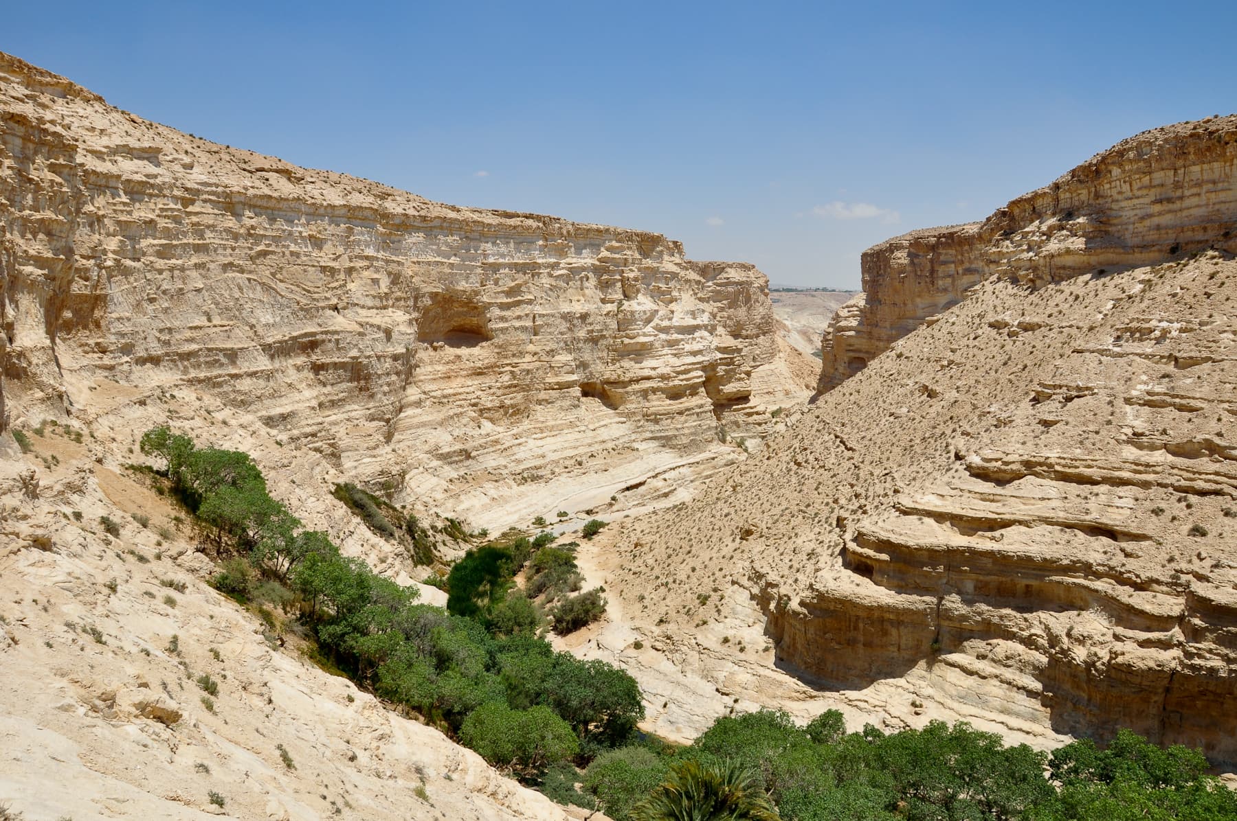 En Avedat Canyon 1