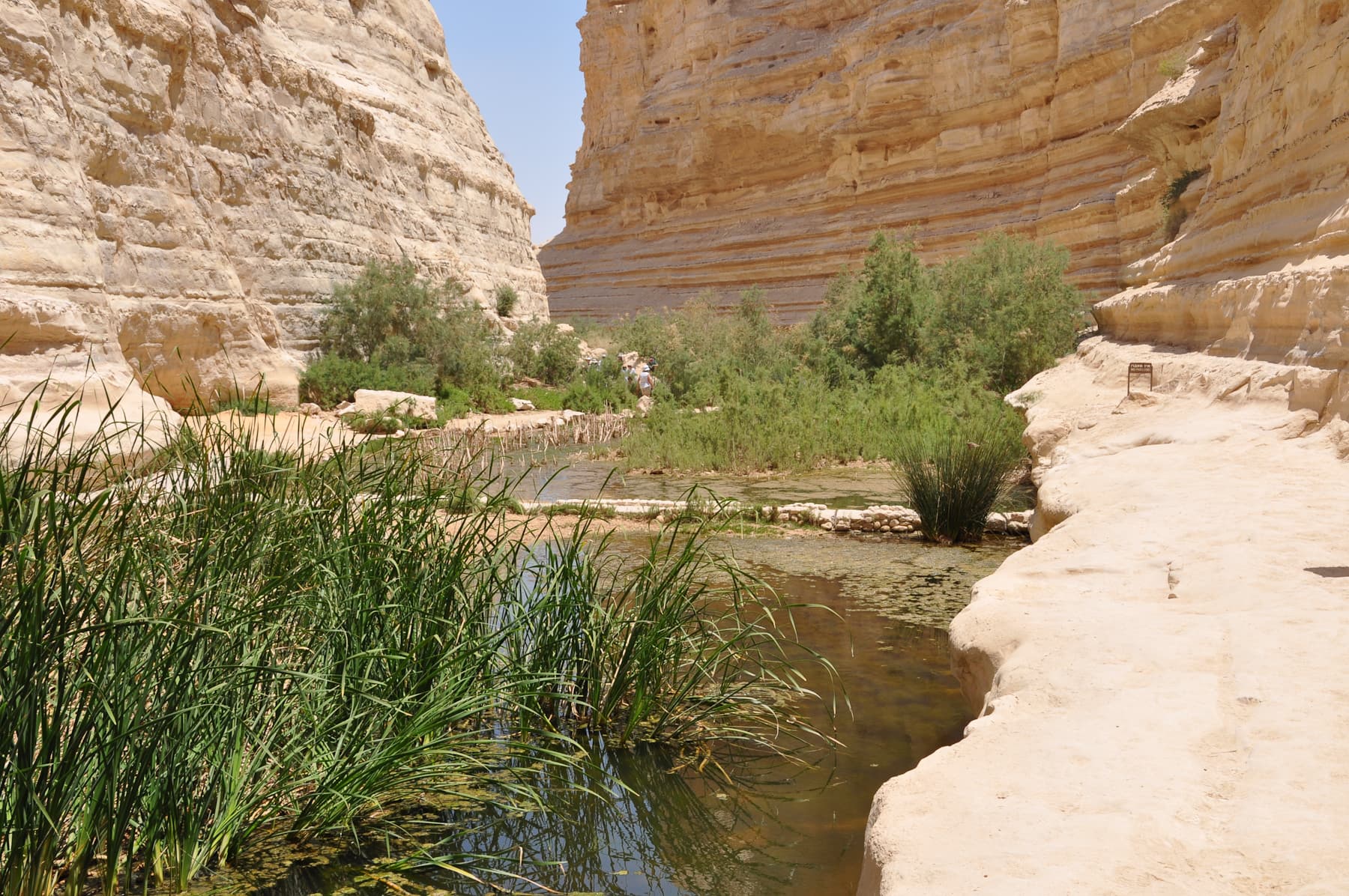 Lower Pools 2