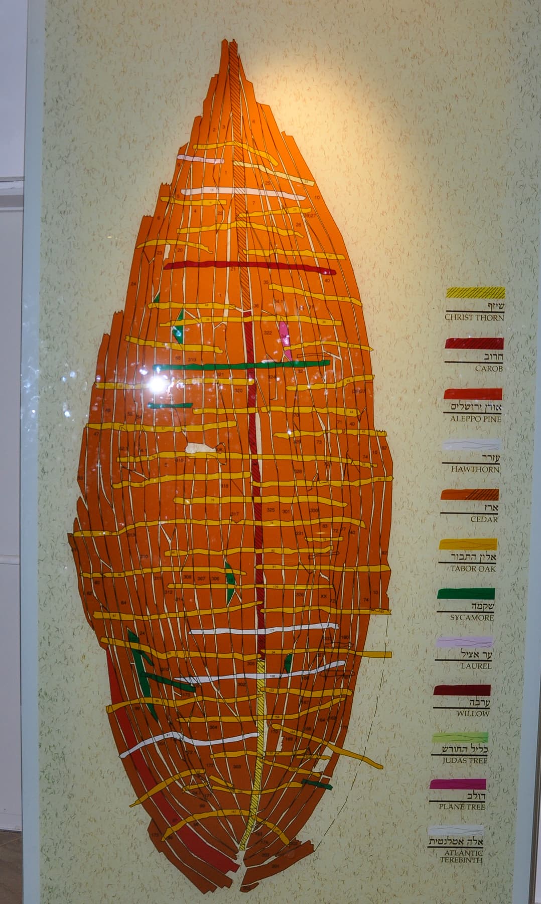 Composition of the Boat