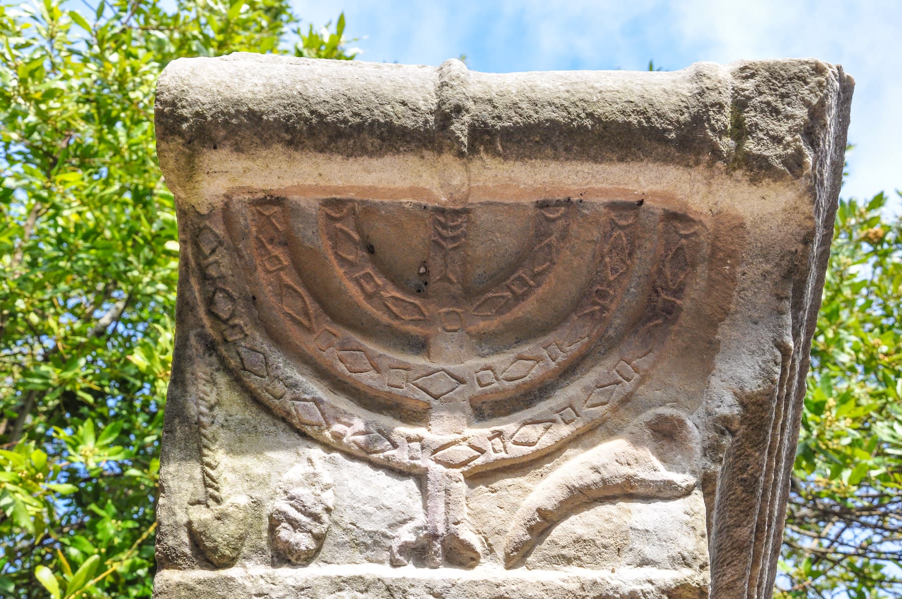 Synagogue Menorah Capital