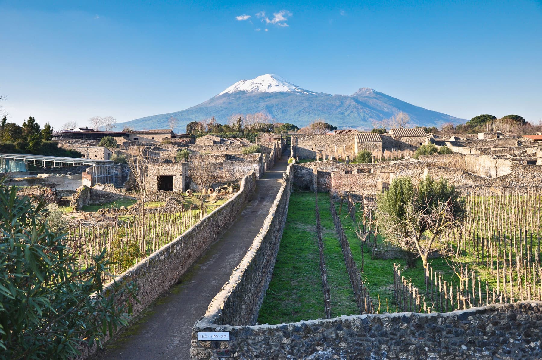 Mount Vesuvius and Gardens