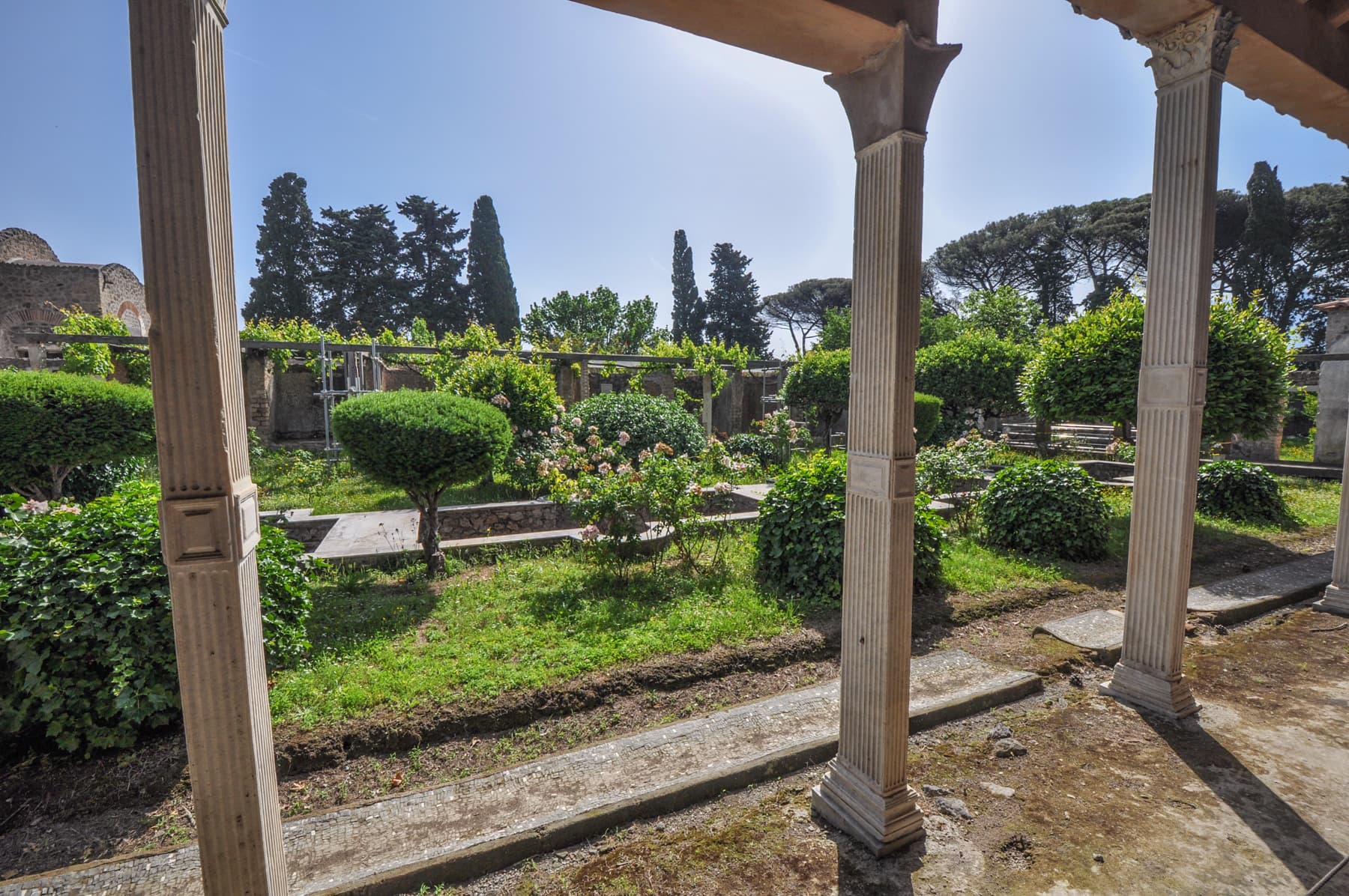 Interior Garden South